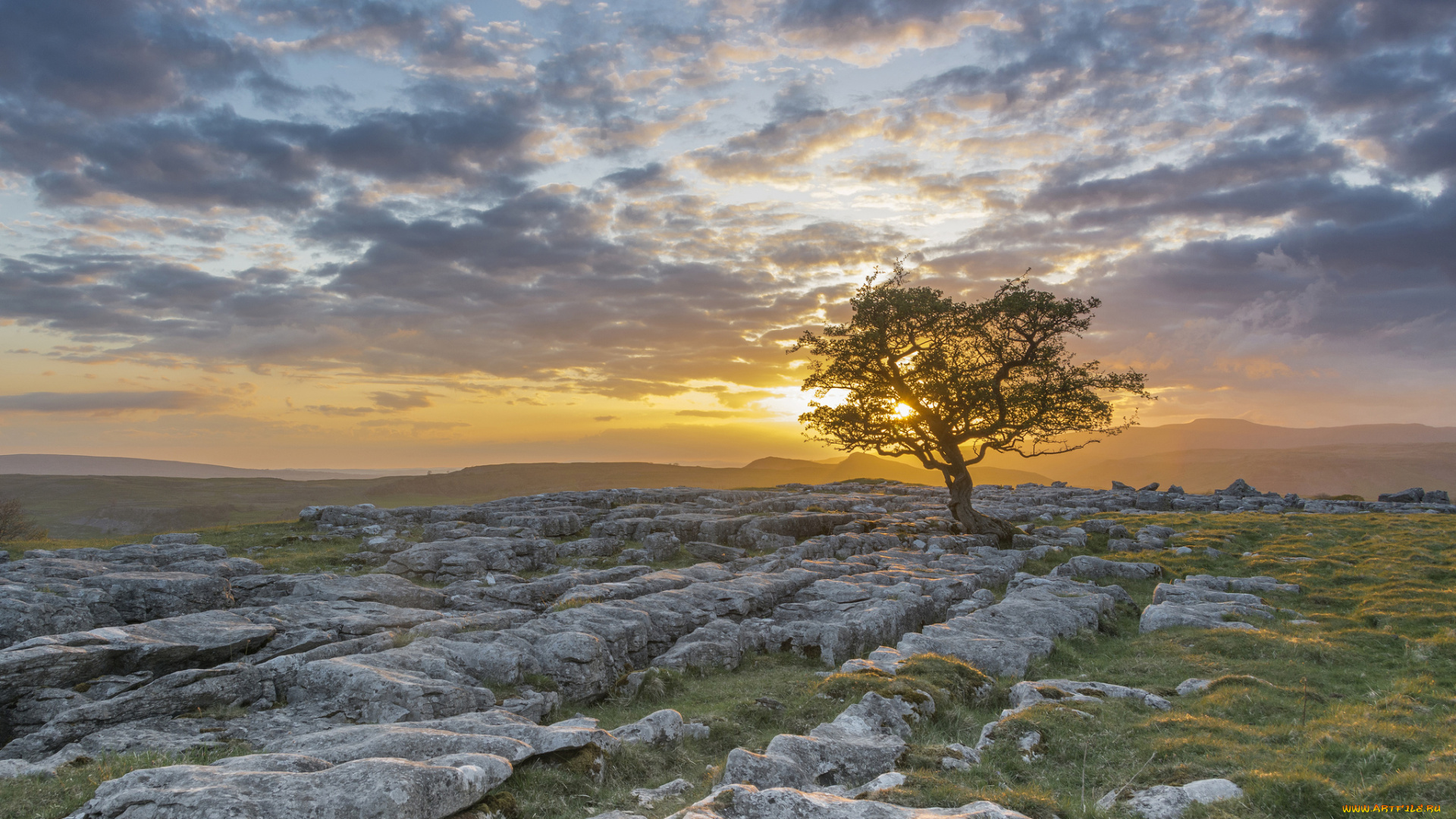 природа, пейзажи, простор