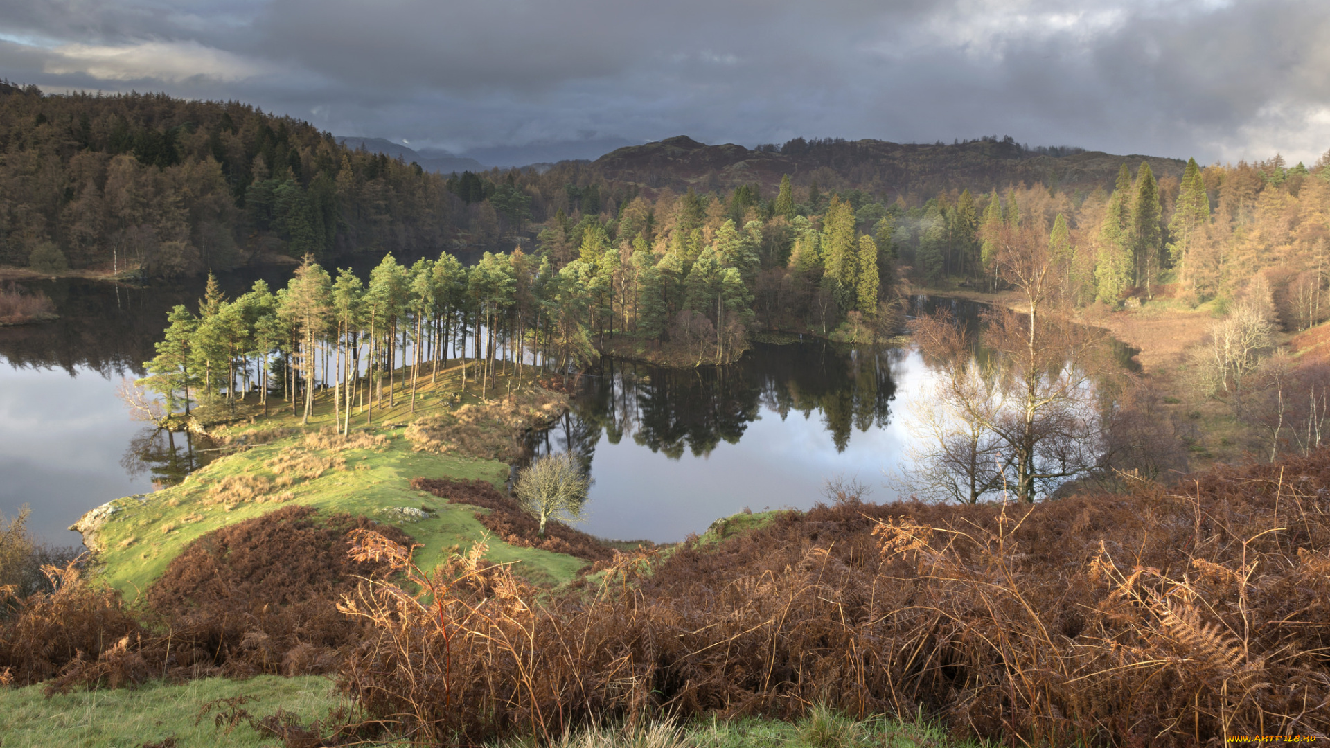 природа, реки, озера, простор