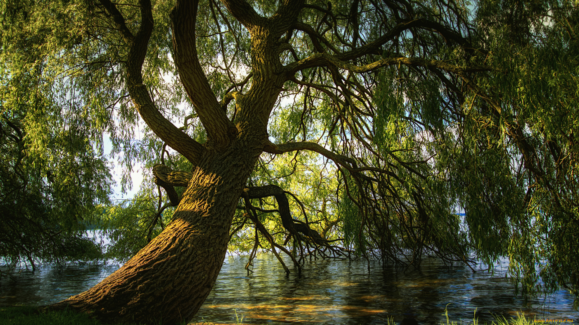 природа, реки, озера, простор