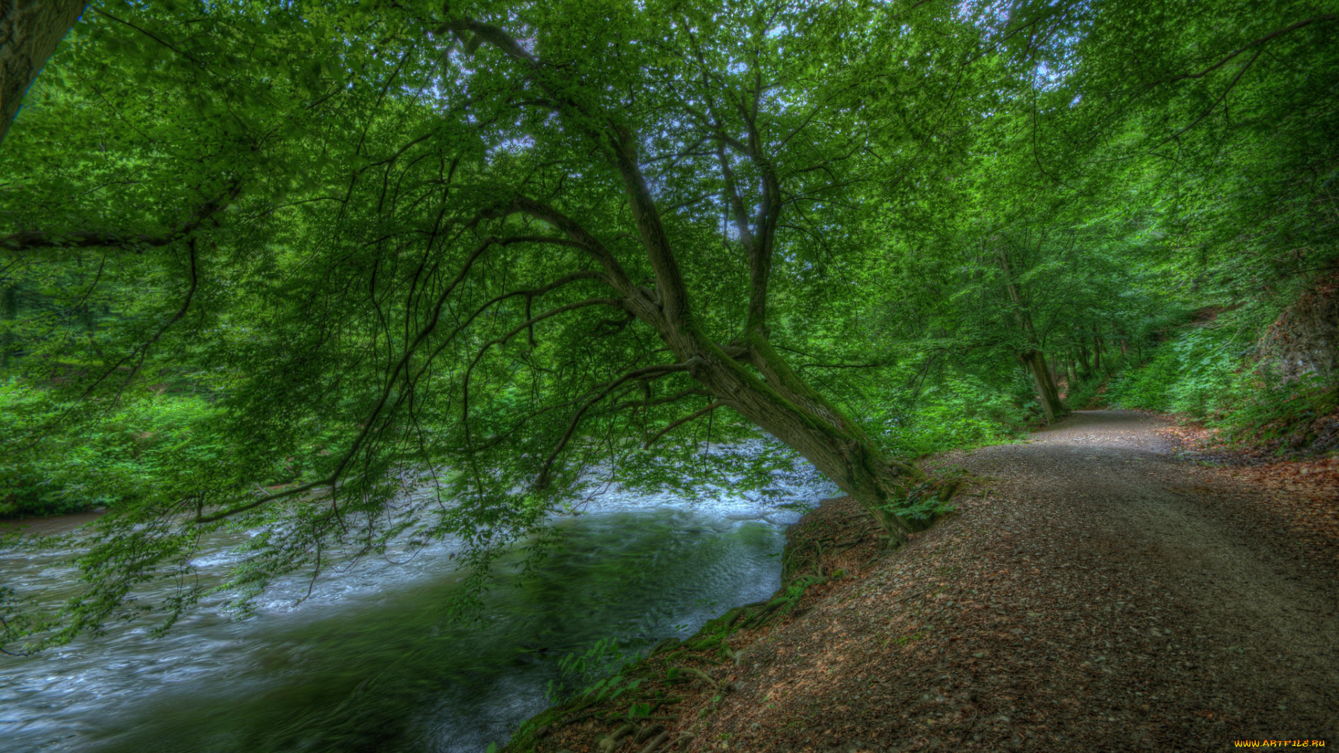 природа, реки, озера, простор