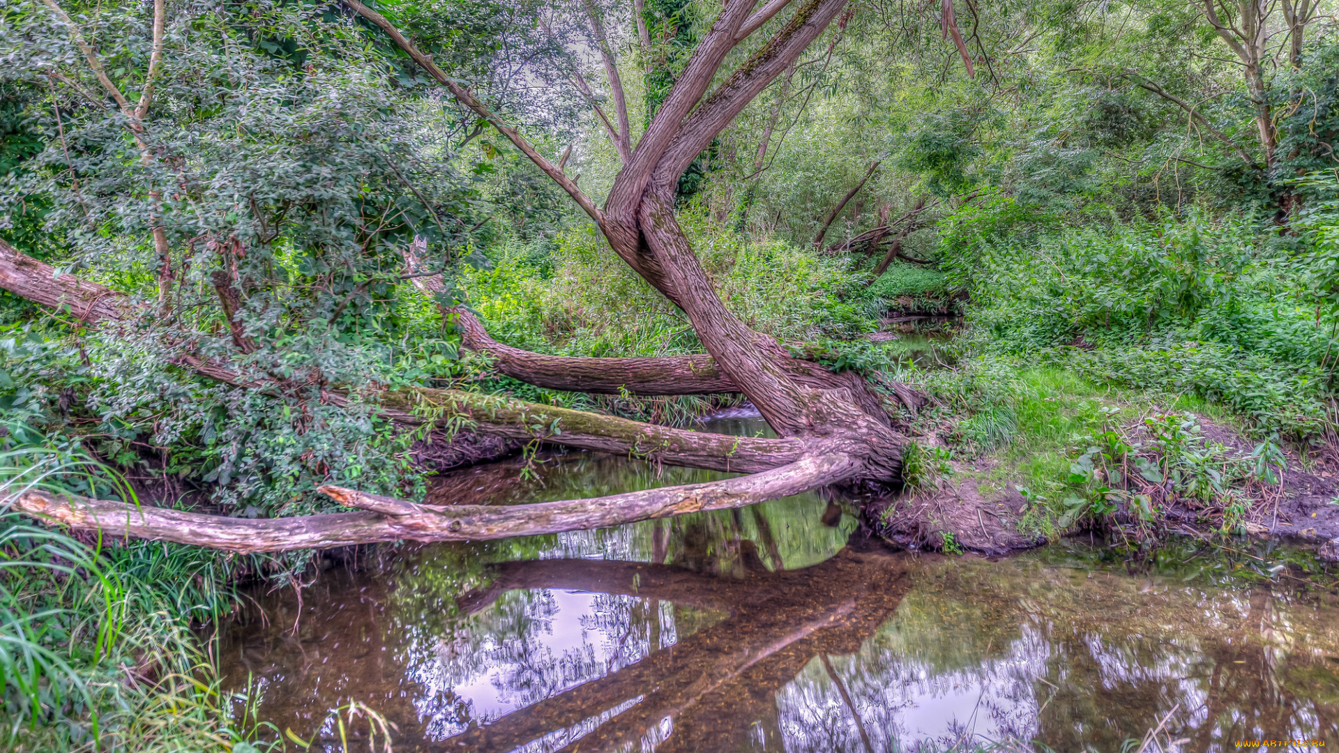 природа, реки, озера, простор