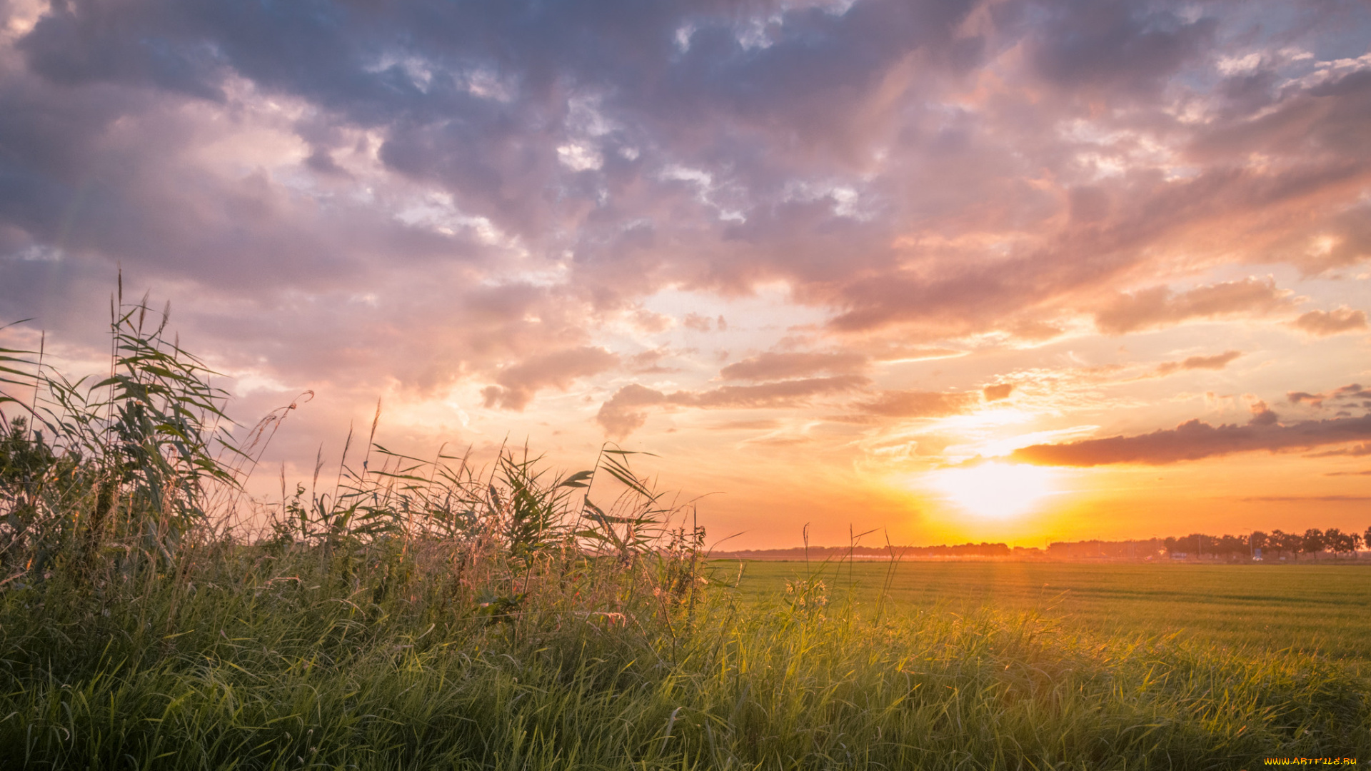 природа, восходы, закаты, простор