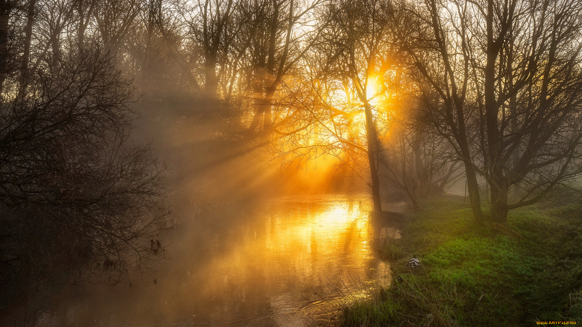 природа, восходы, закаты, простор