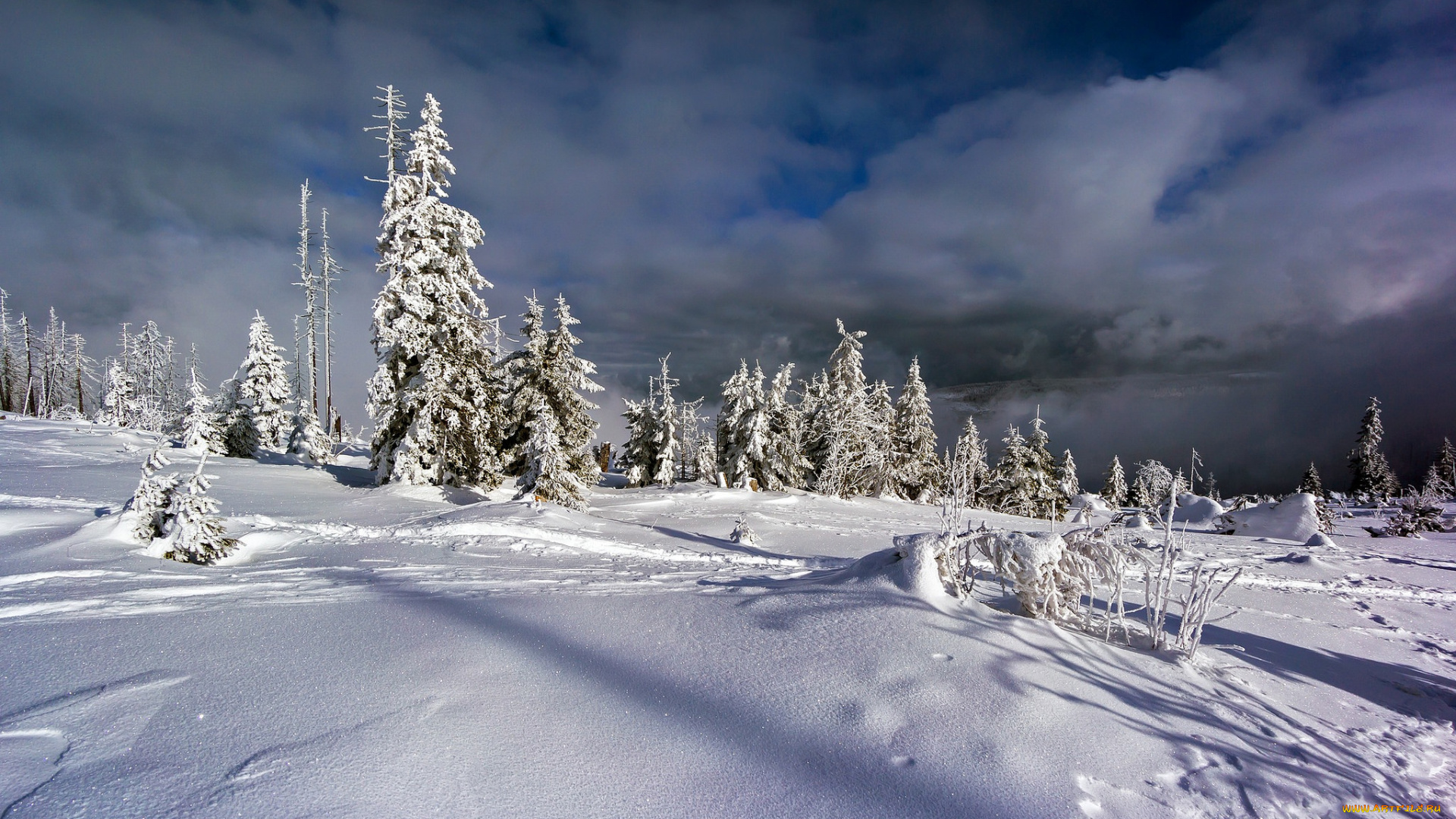 природа, зима, простор