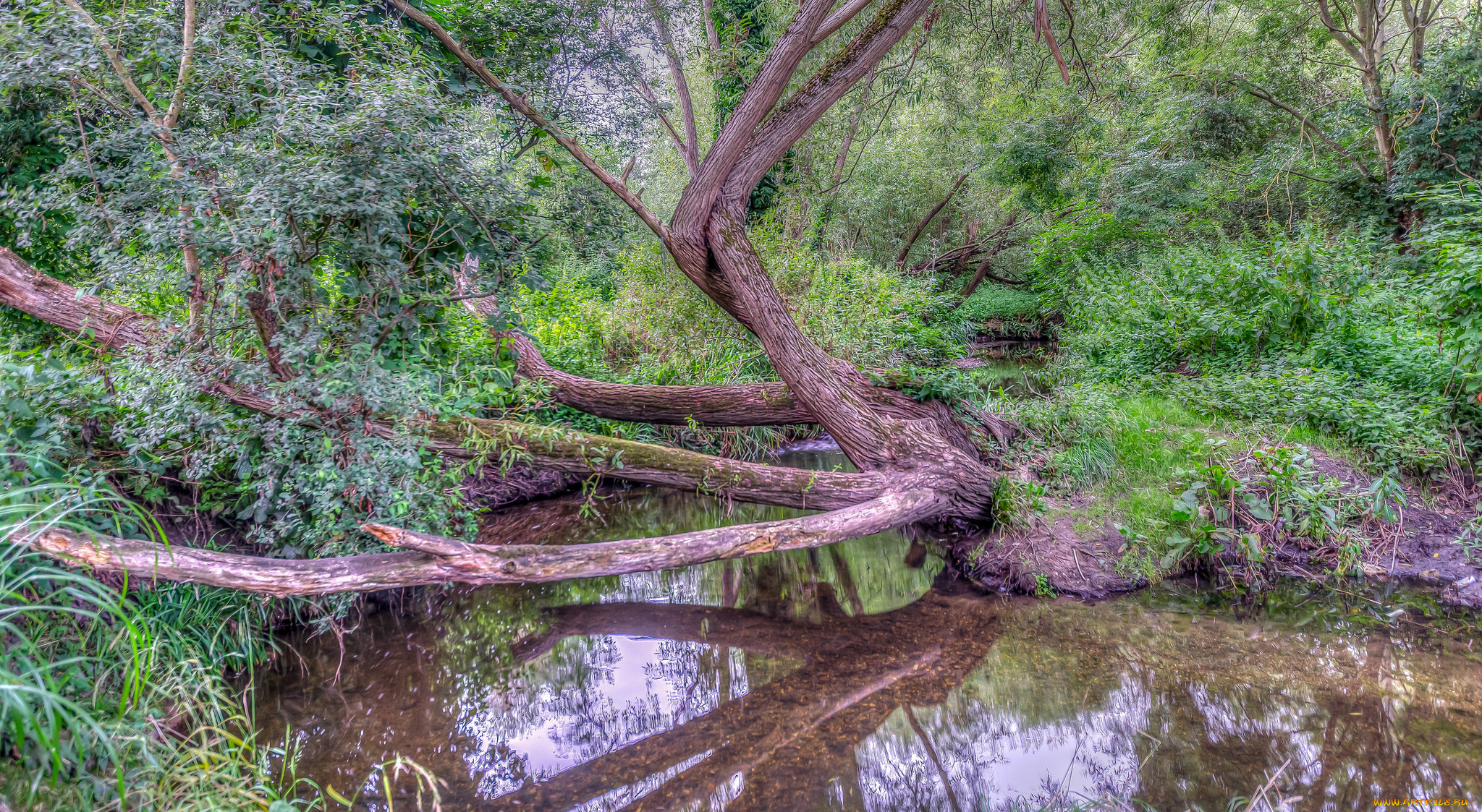 природа, реки, озера, простор