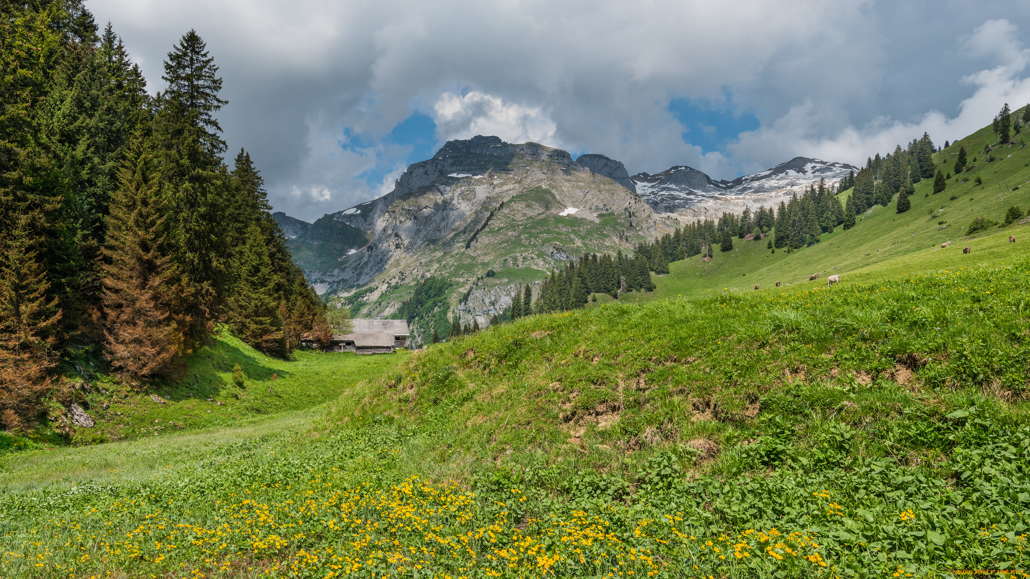 природа, горы, простор