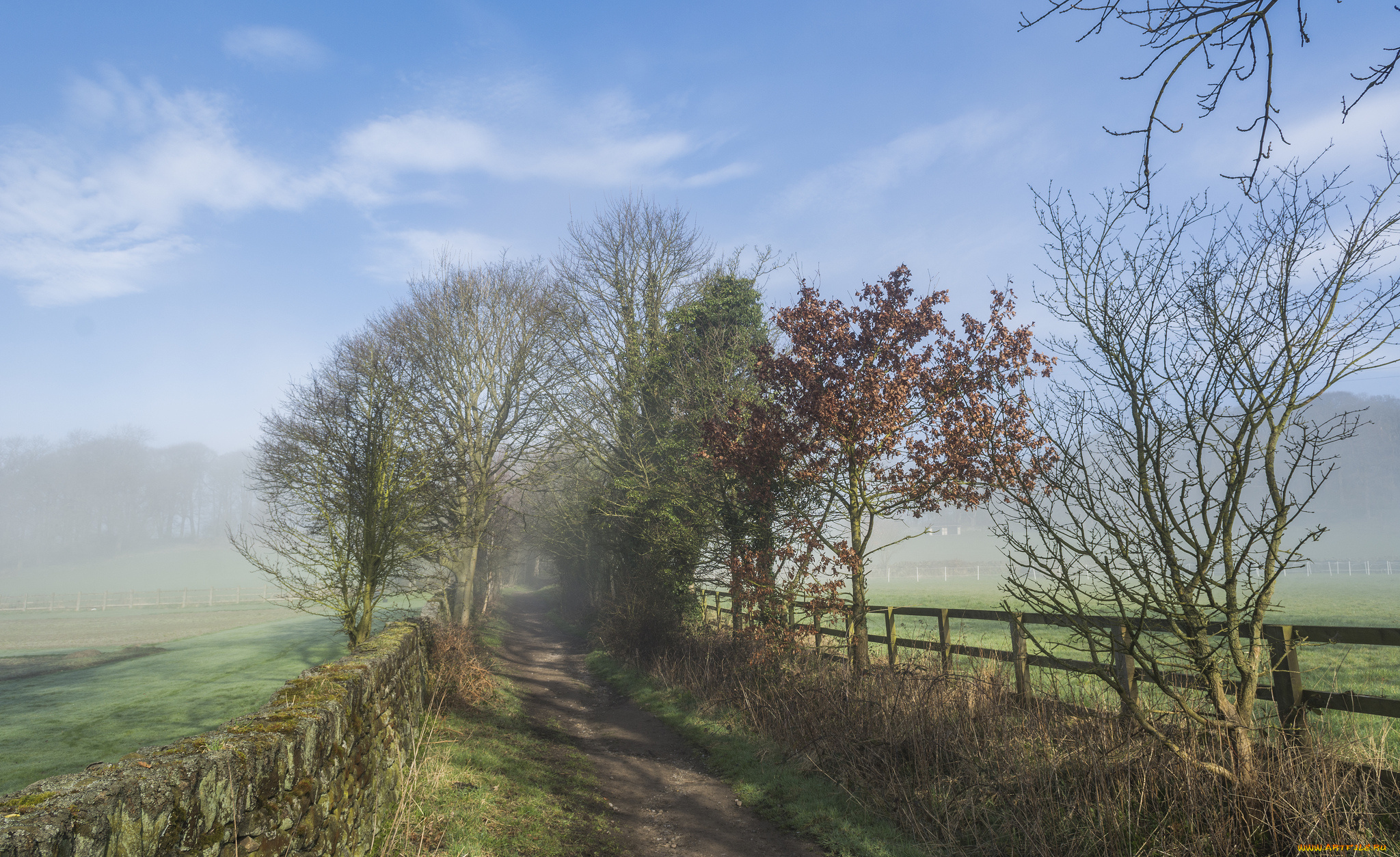 природа, дороги, простор