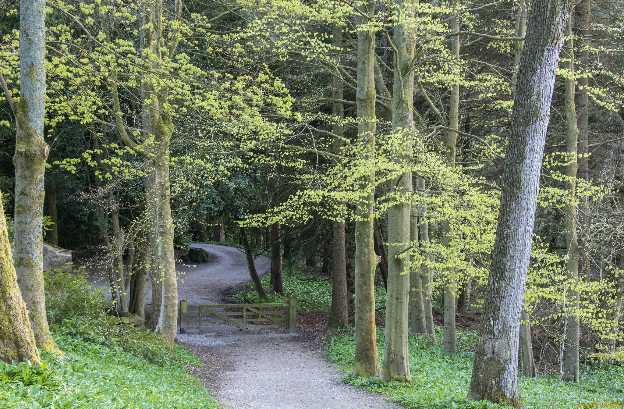 природа, дороги, простор