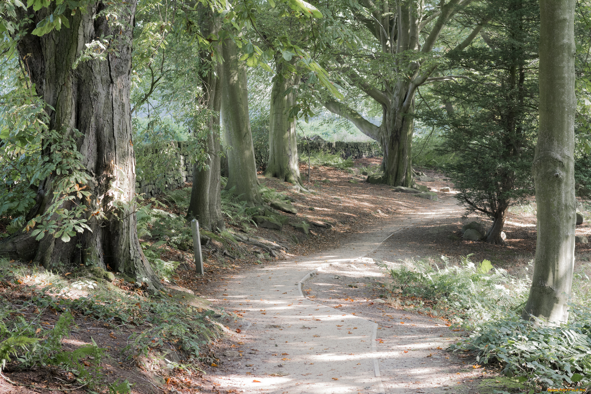 природа, дороги, простор