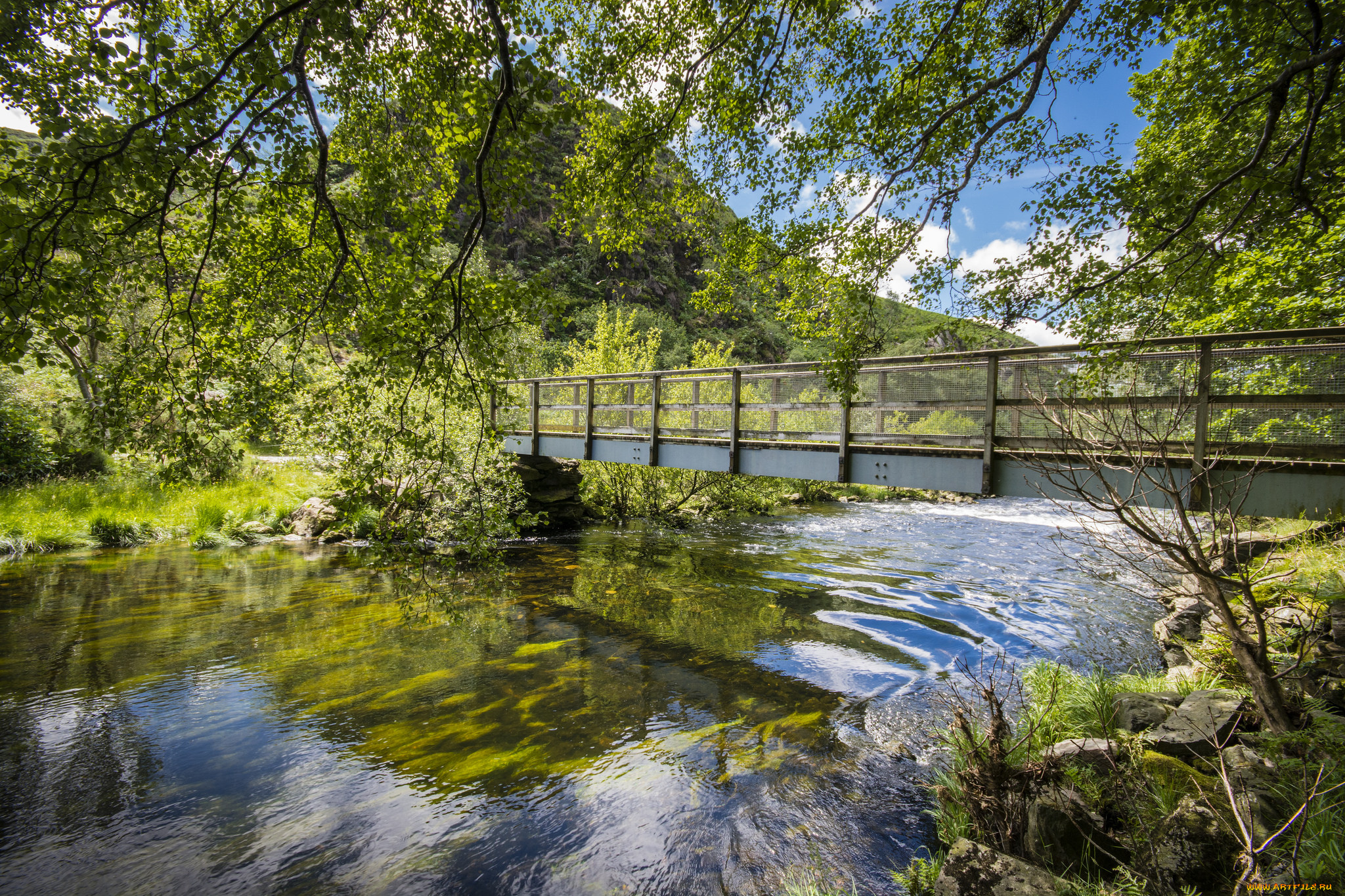 природа, реки, озера, простор