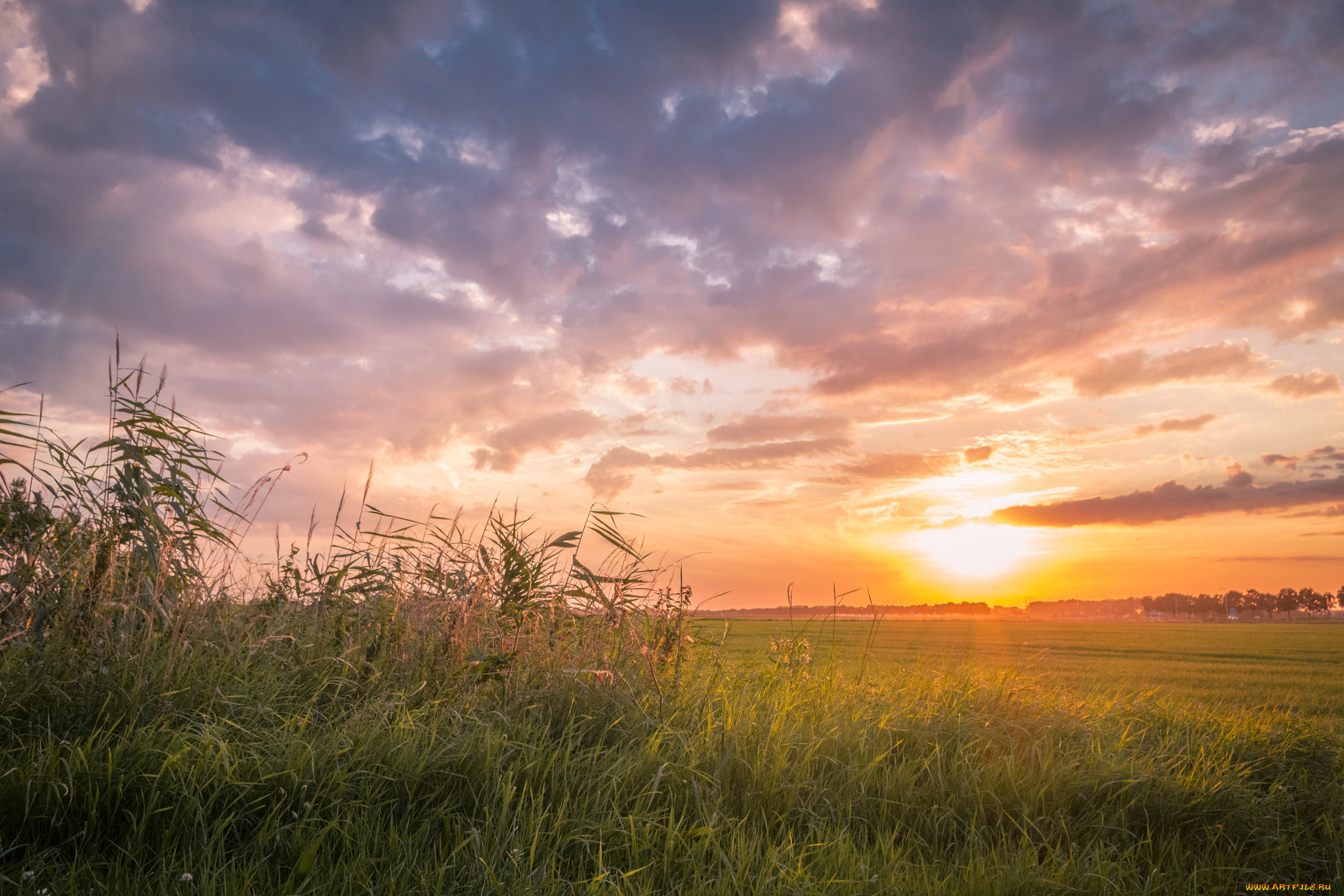 природа, восходы, закаты, простор