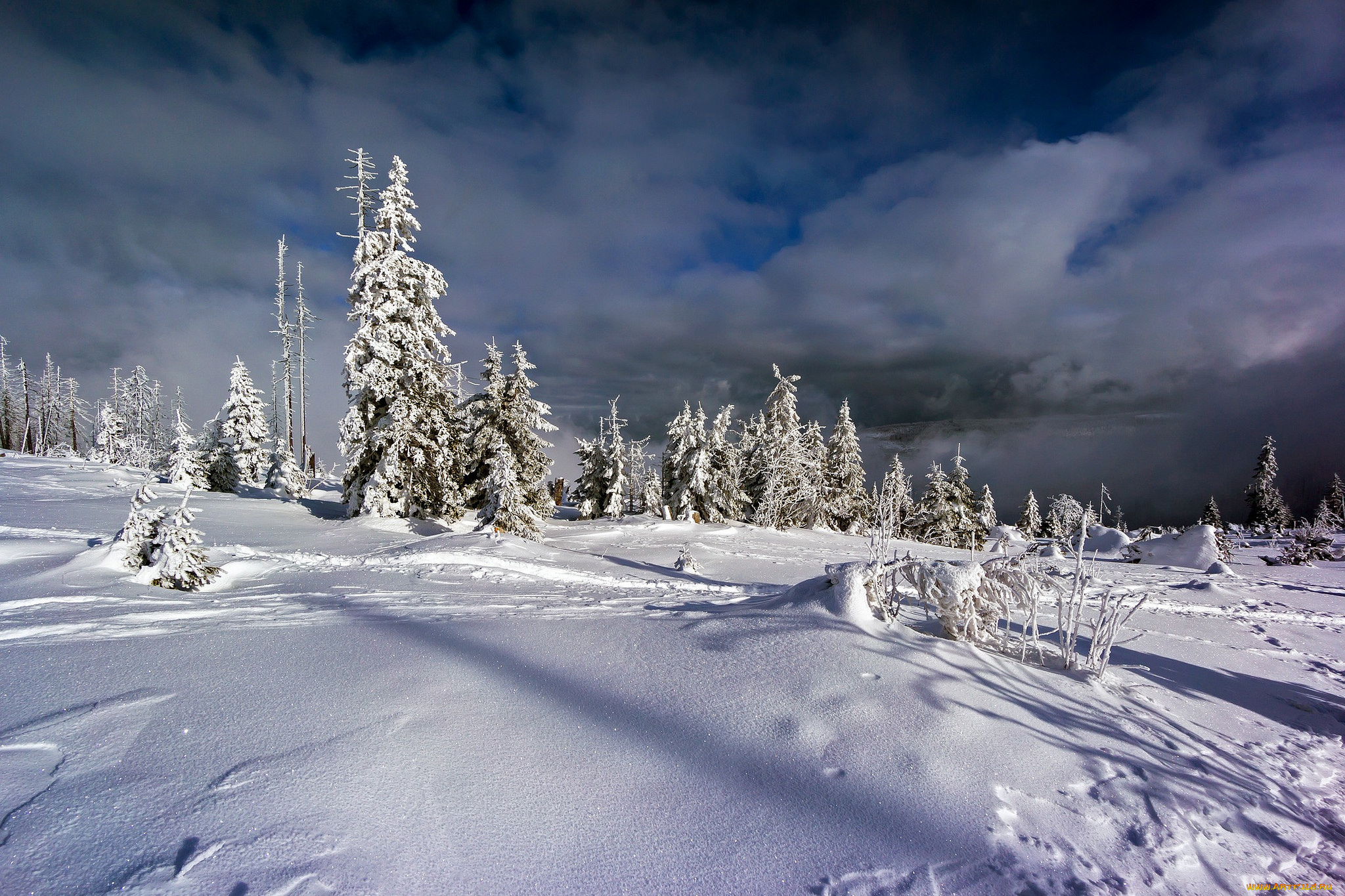 природа, зима, простор