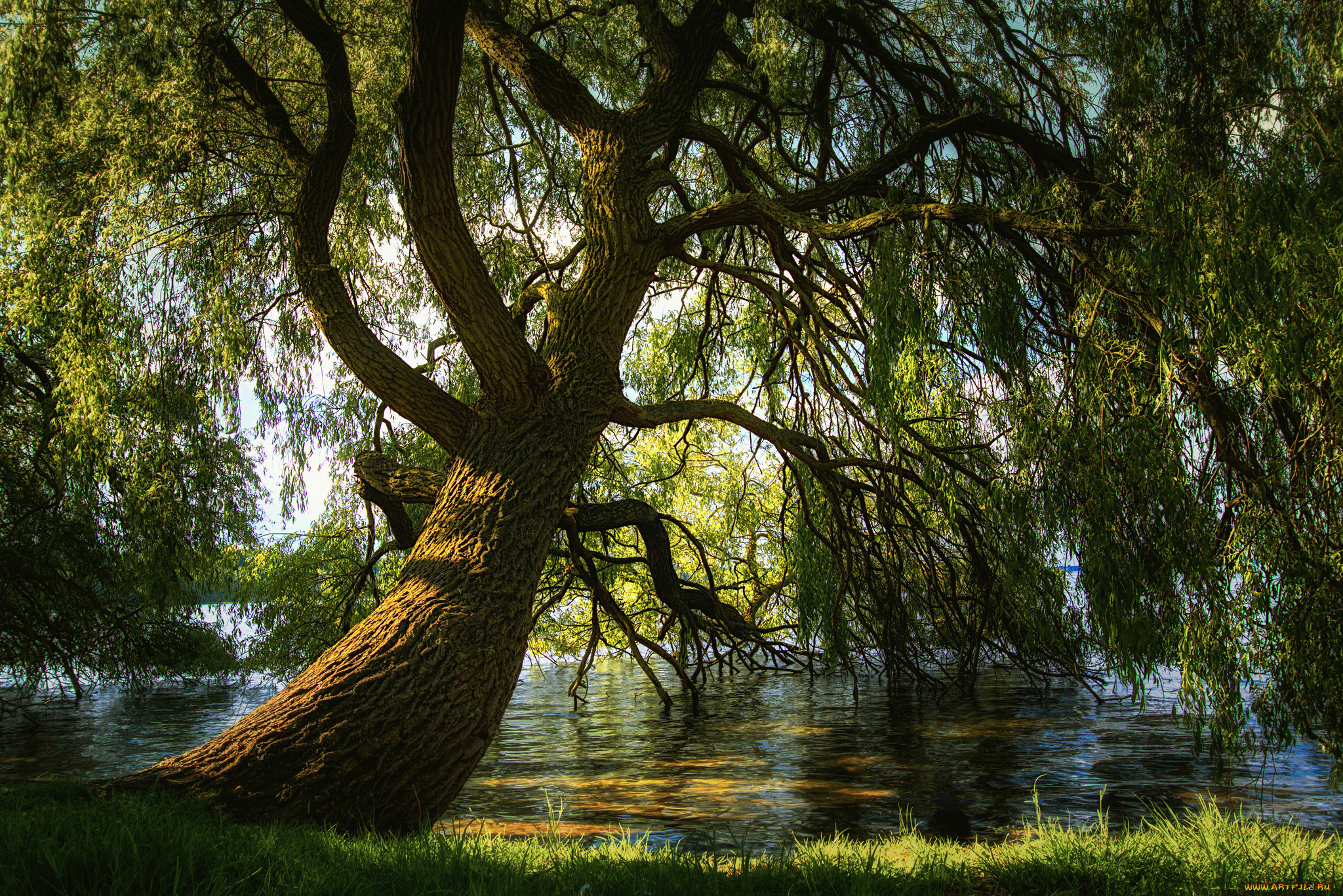 природа, реки, озера, простор