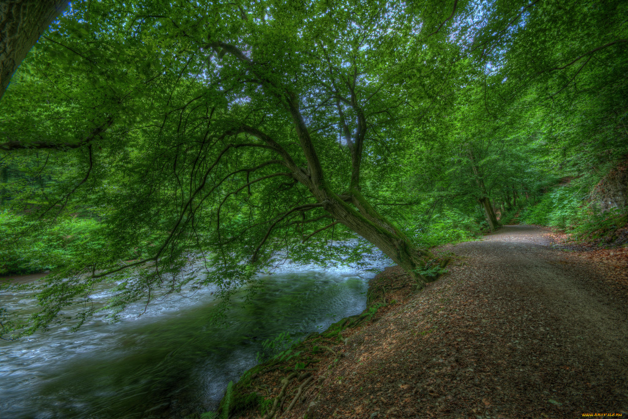 природа, реки, озера, простор