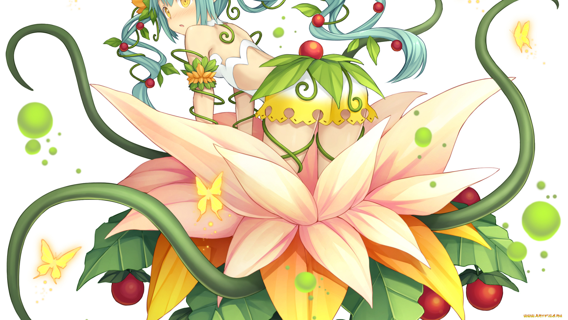 аниме, unknown, , другое, , monmusu, harem