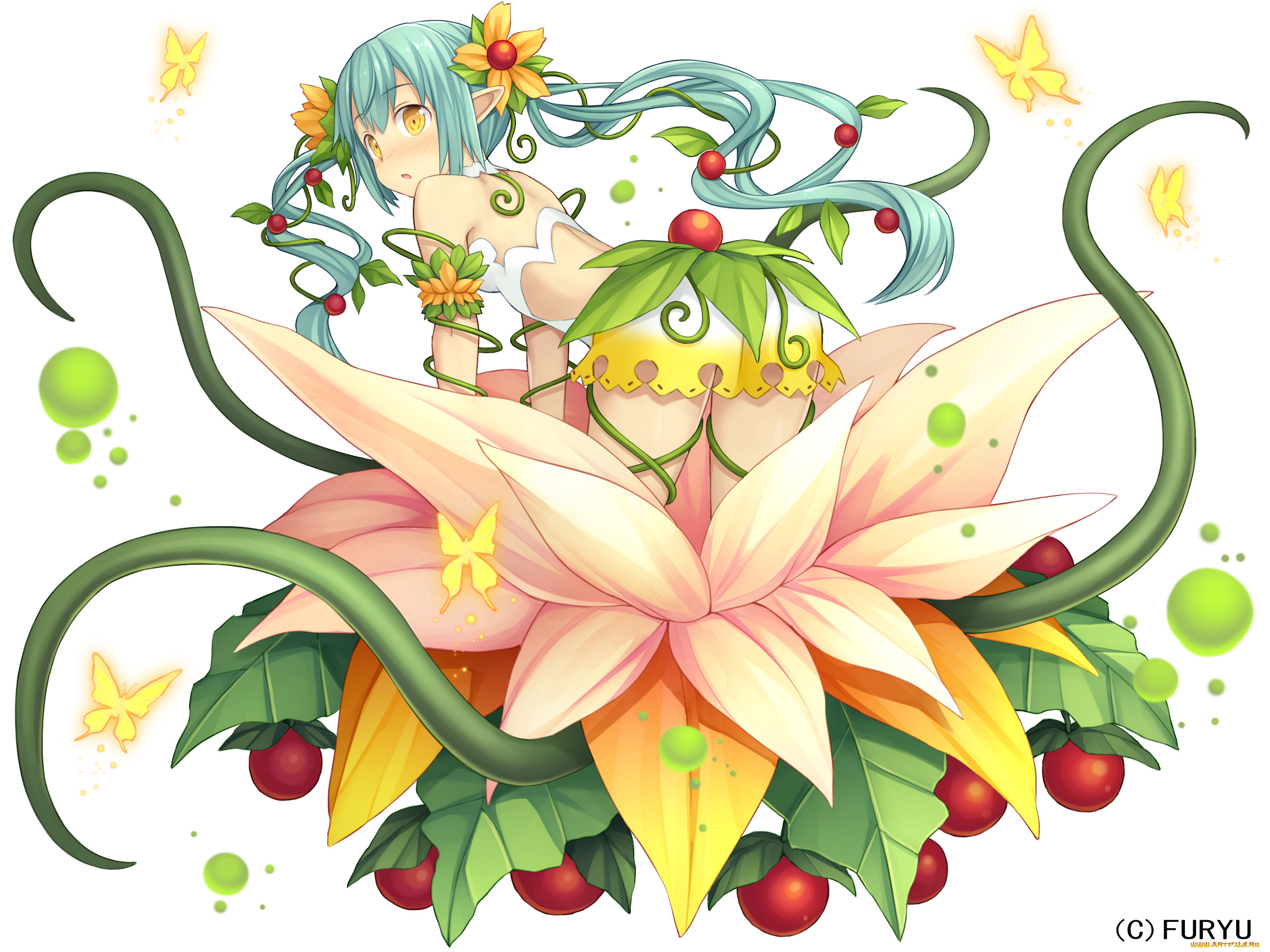 аниме, unknown, , другое, , monmusu, harem