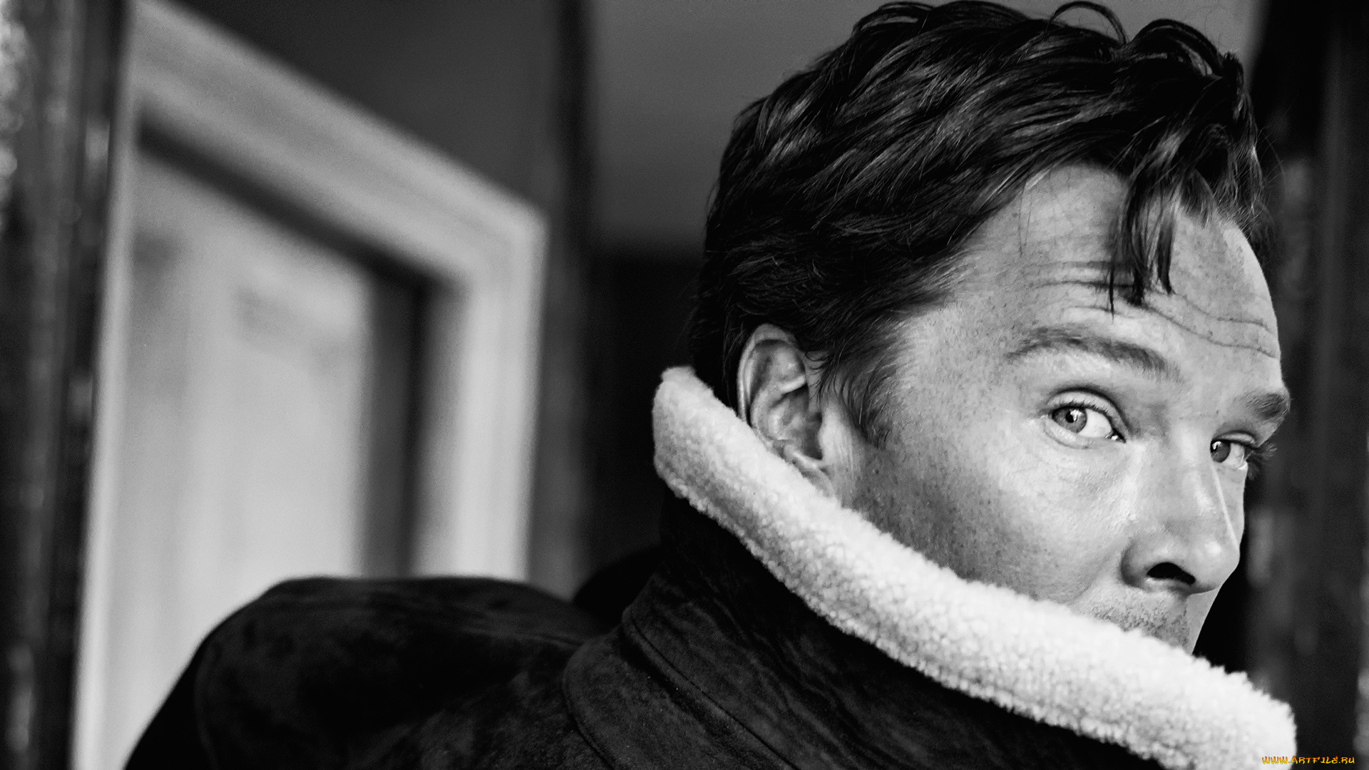 мужчины, benedict, cumberbatch, бенедикт, камбербетч