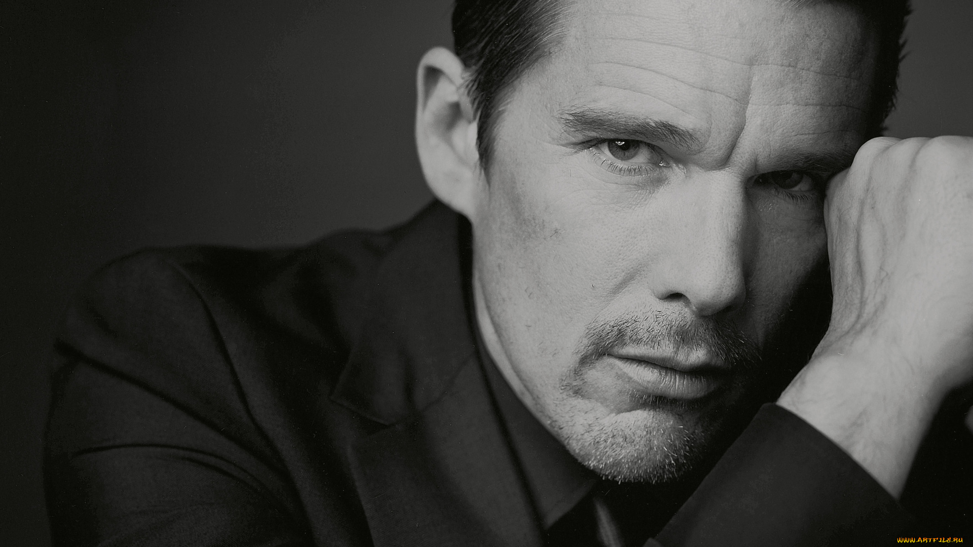 мужчины, ethan, hawke, лицо, актер, ethan, hawk, пиджак