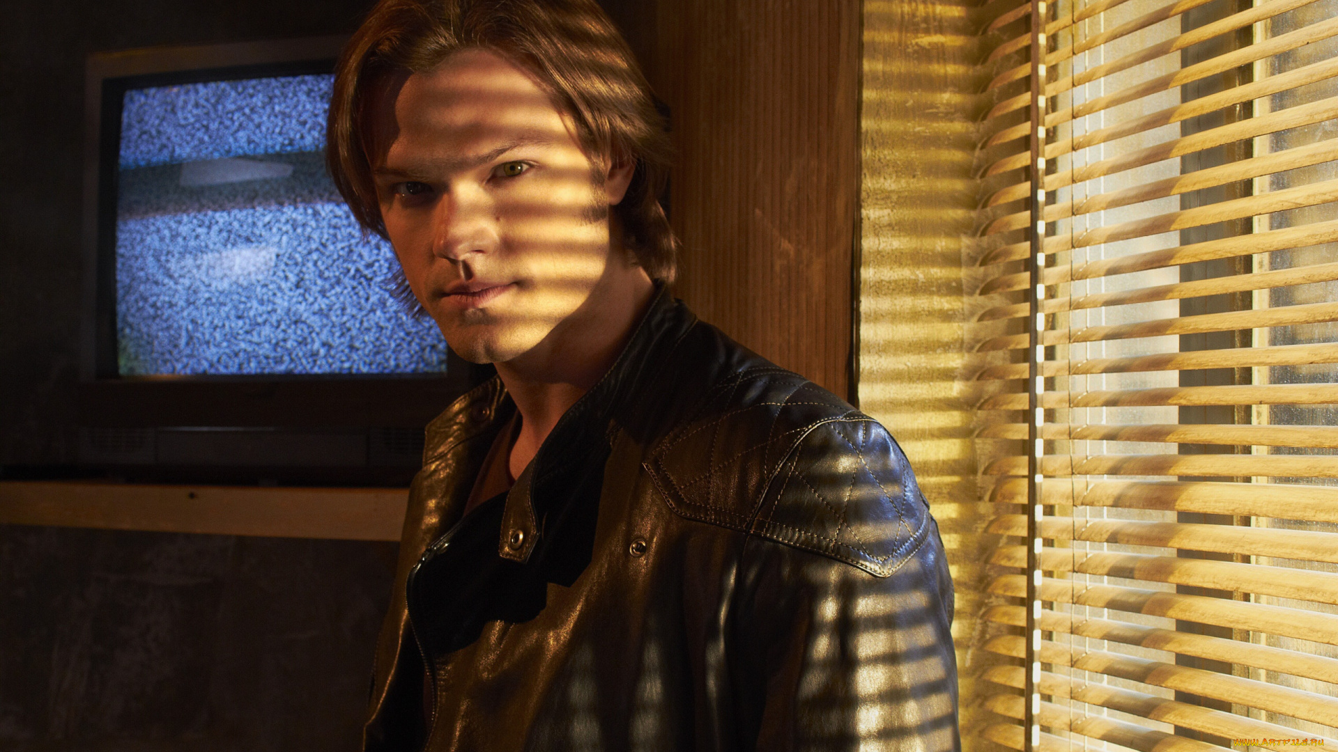 мужчины, jared, padalecki, жалюзи, телевизор, куртка, актер