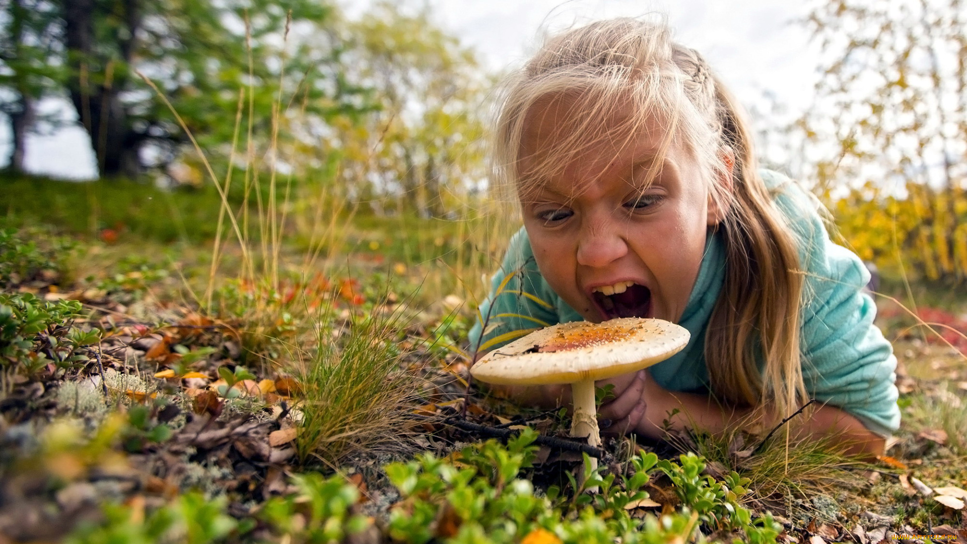 разное, настроения, девочка, мухомор, гриб