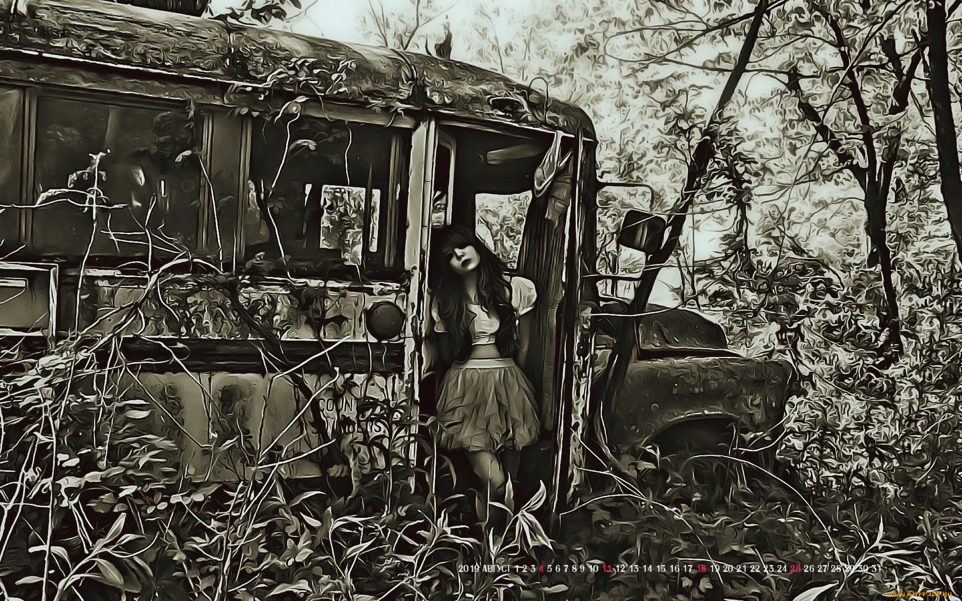 календари, компьютерный, дизайн, 2019, calendar, растение, женщина, автобус, девушка, автомобиль