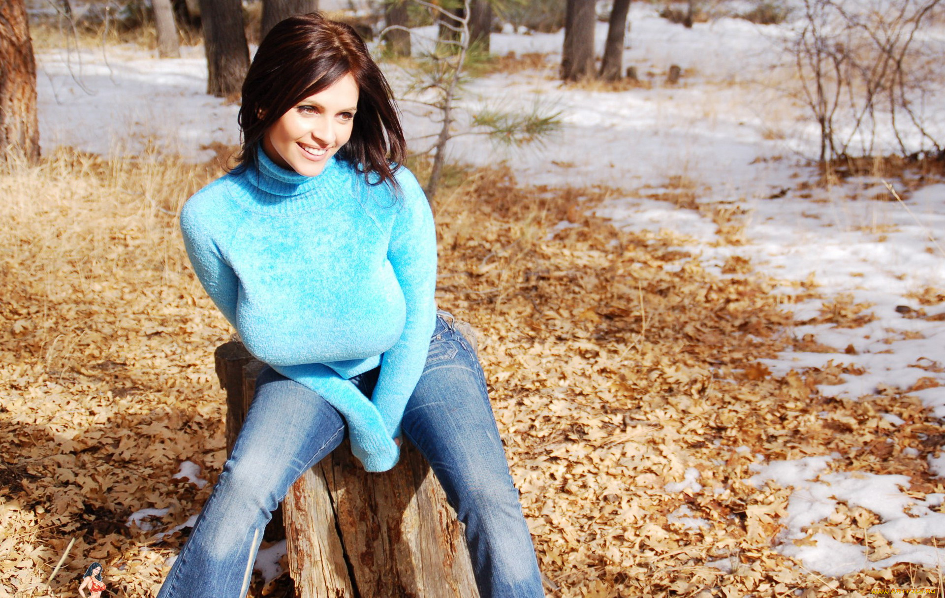 девушки, denise, milani, листья, лес, пень, джинсы, свитер, улыбка, шатенка, снег