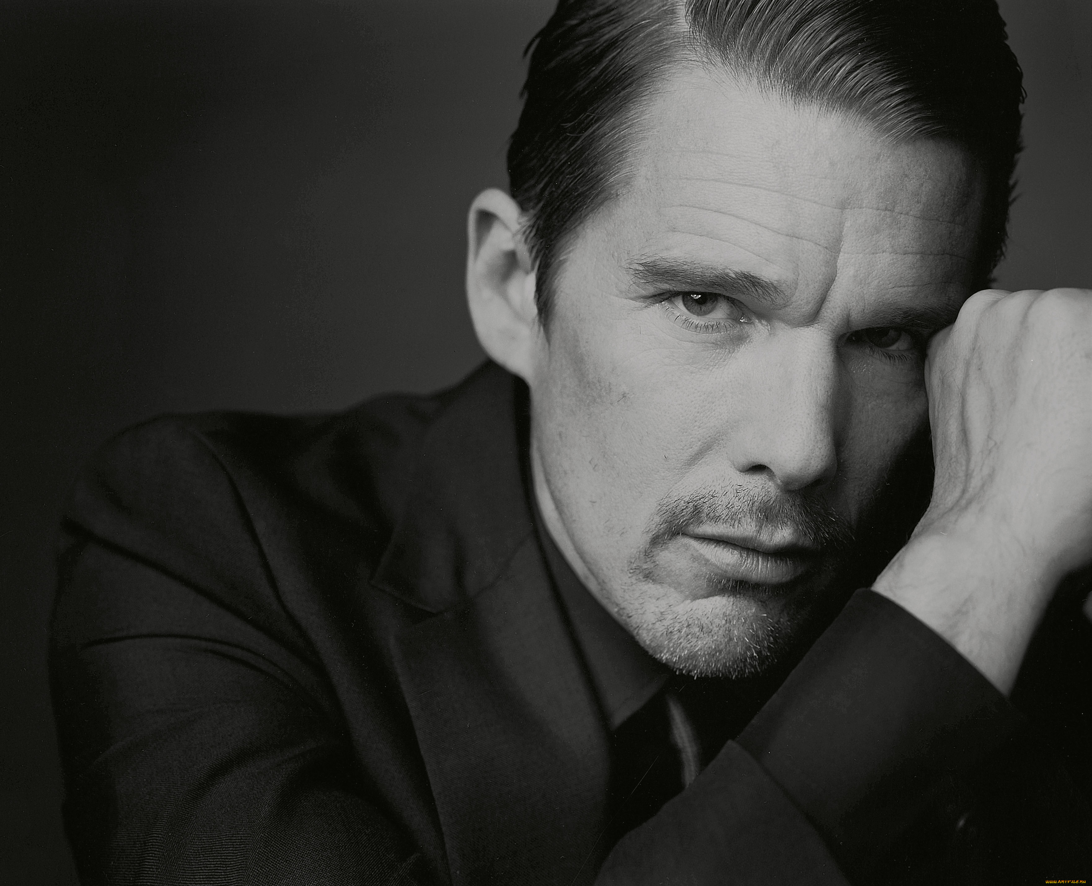 мужчины, ethan, hawke, лицо, актер, ethan, hawk, пиджак