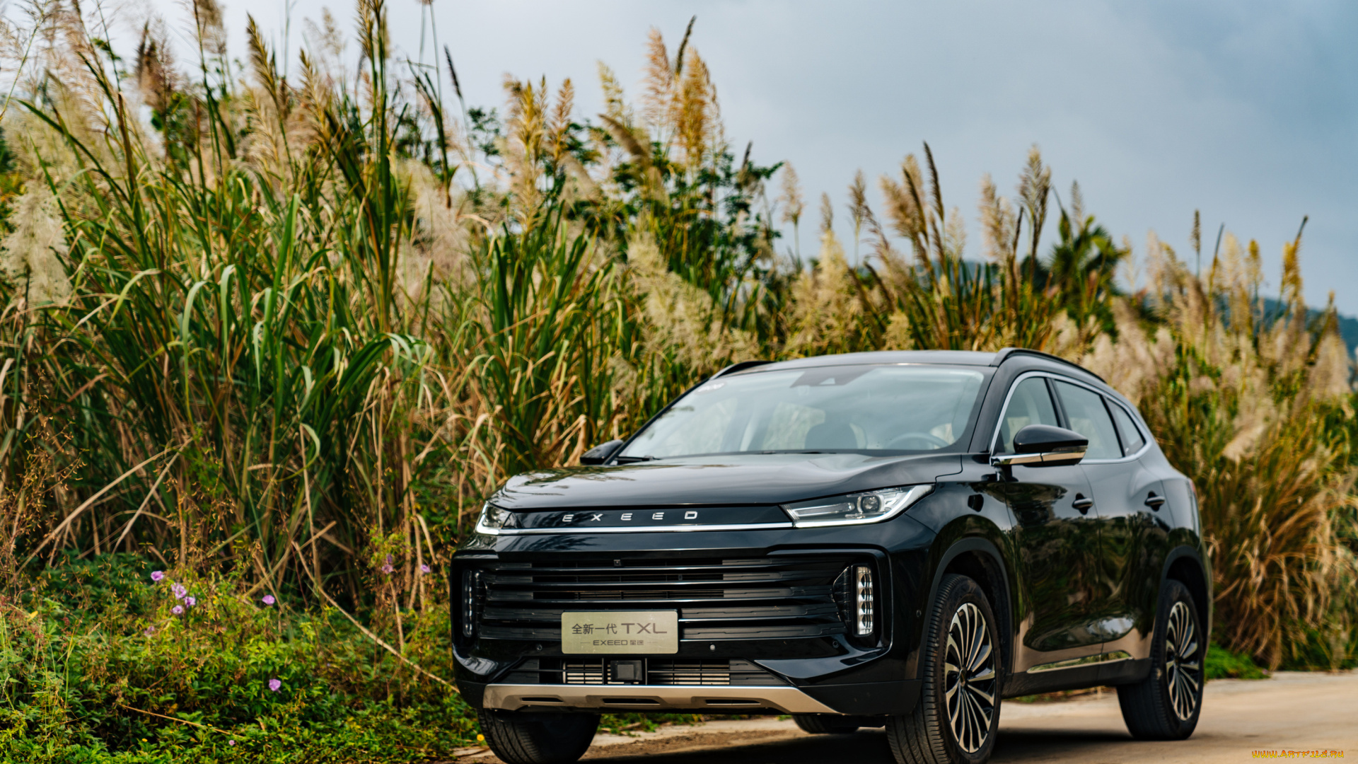 автомобили, exeed