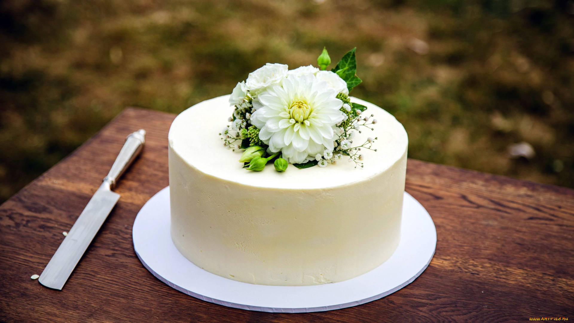 еда, торты, георгин, торт, белая, глазурь