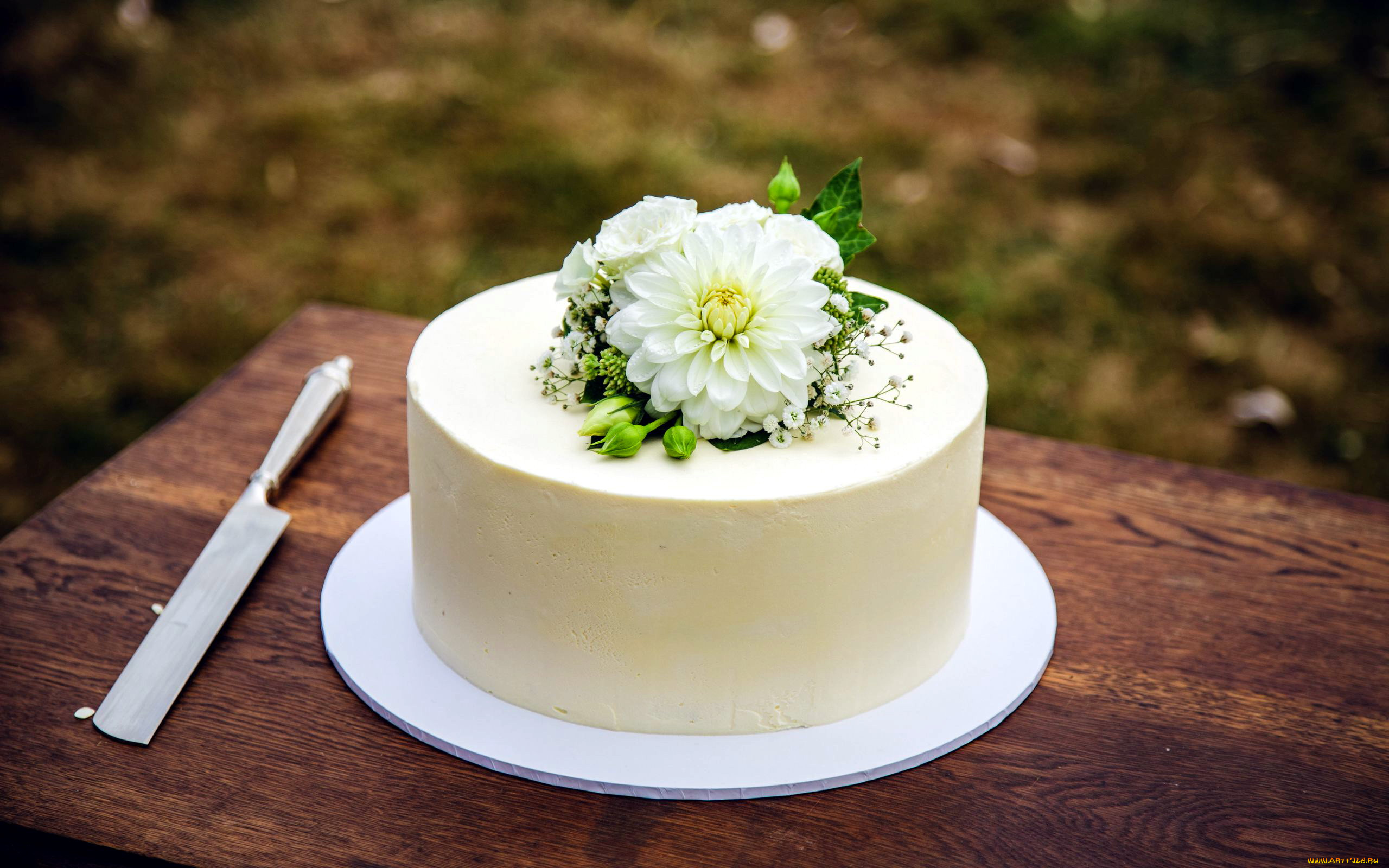 еда, торты, георгин, торт, белая, глазурь