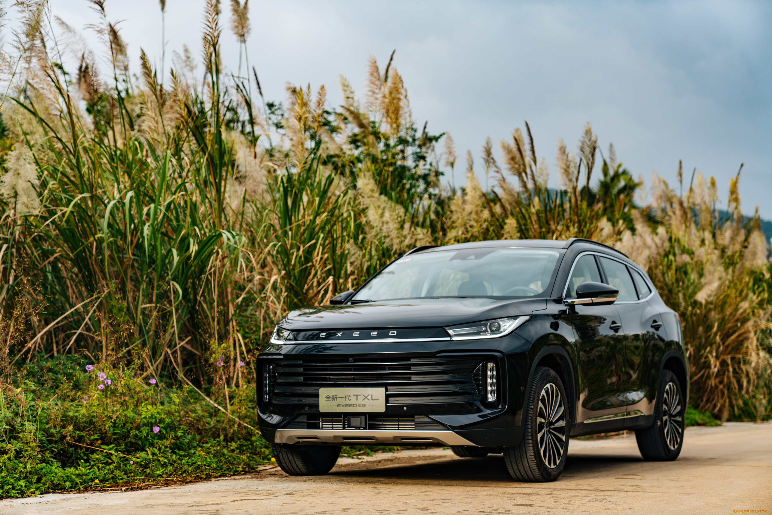 автомобили, exeed