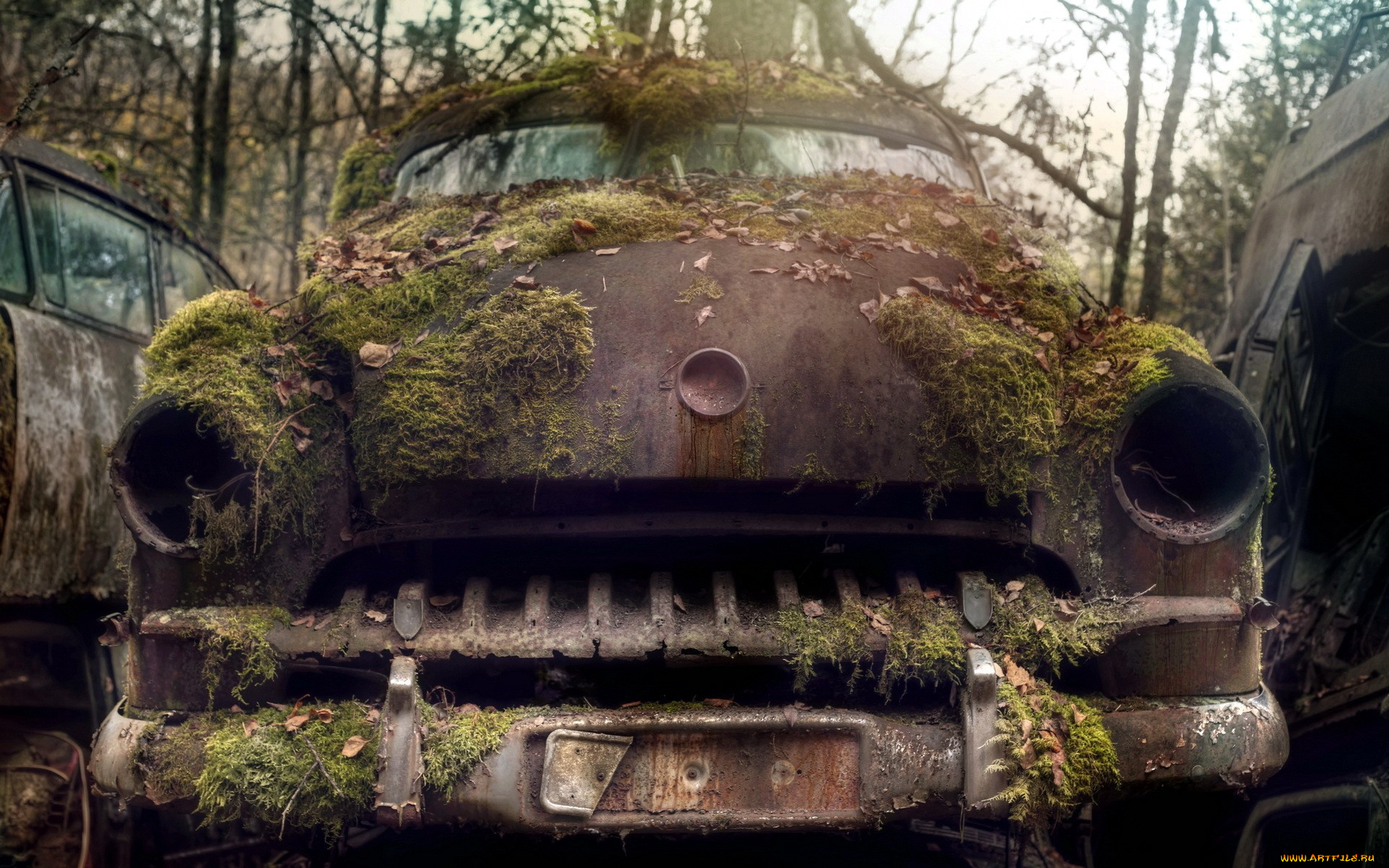 разное, развалины, , руины, , металлолом, машины, ржавчина, мох