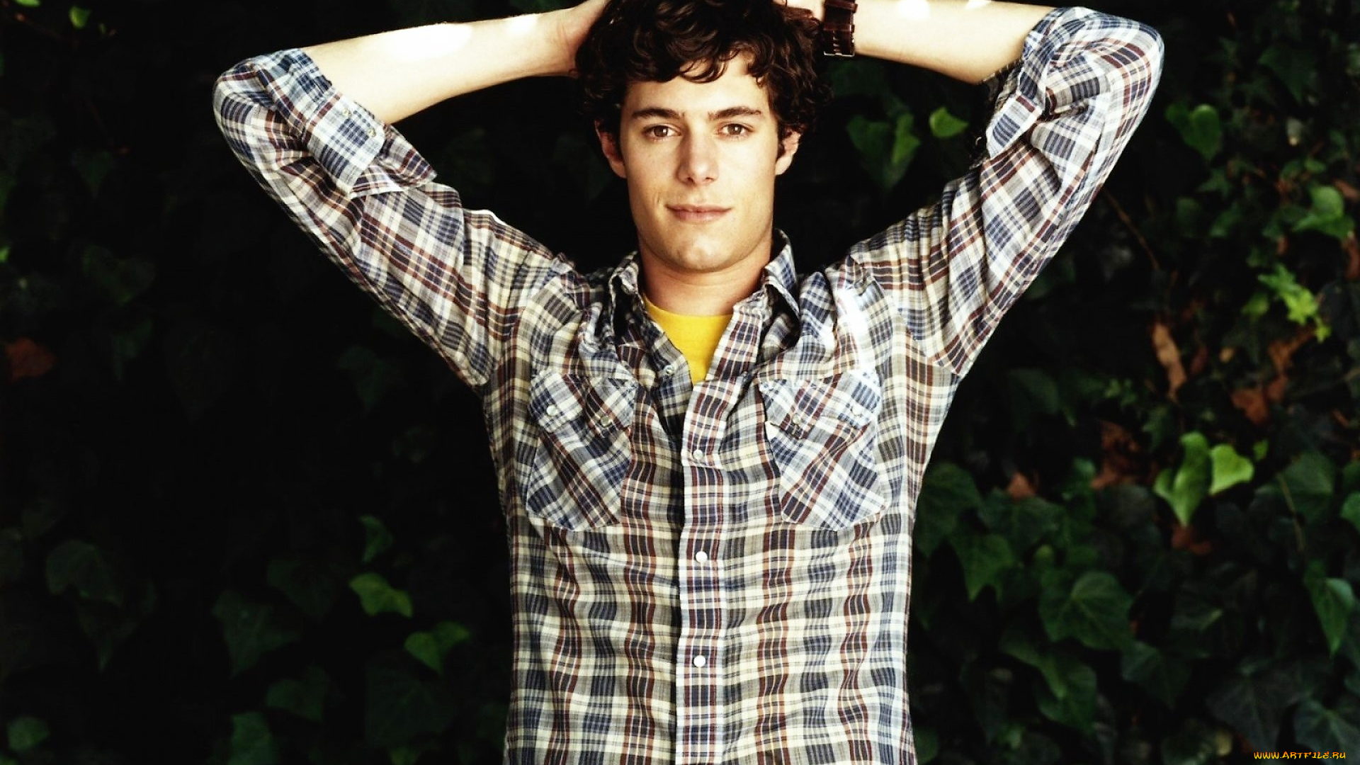 мужчины, adam, brody, актер, рубашка