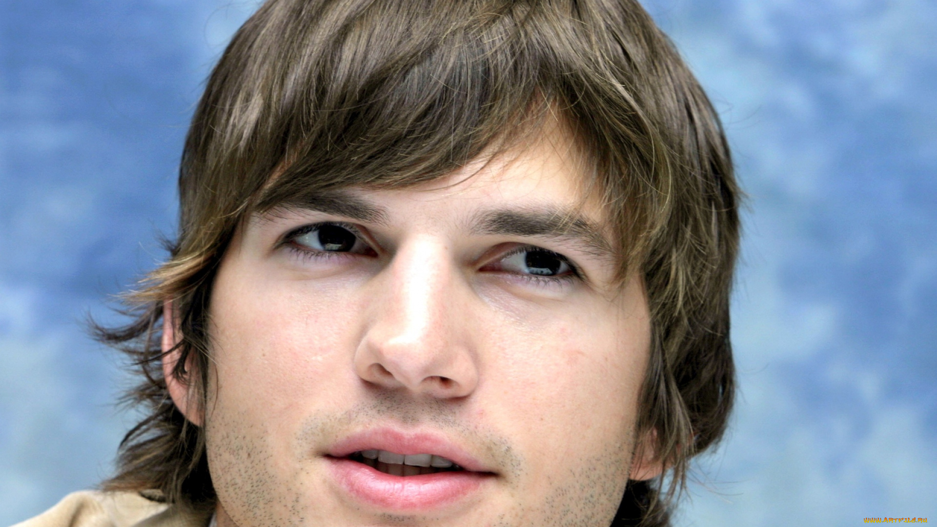 мужчины, ashton, kutcher, актер, лицо