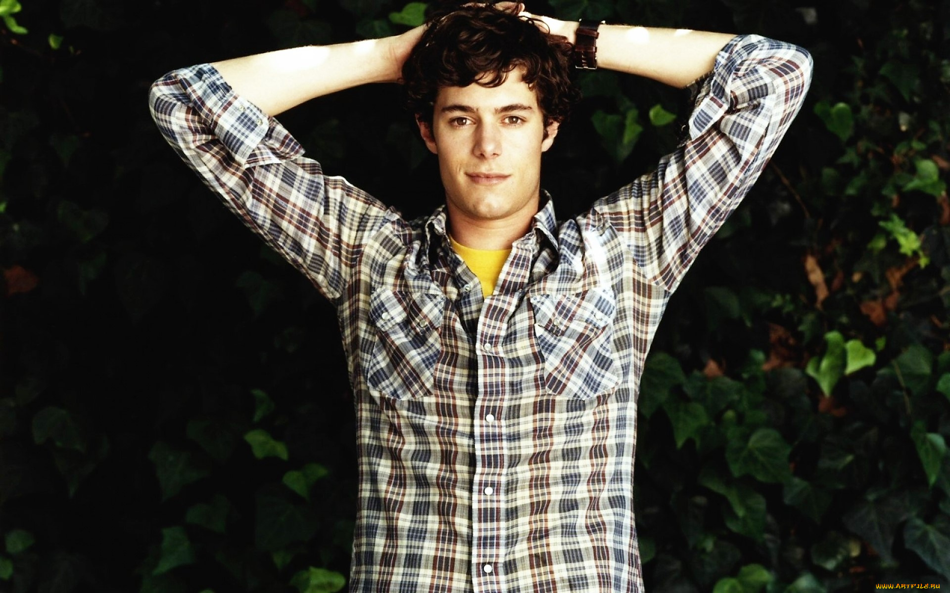 мужчины, adam, brody, актер, рубашка