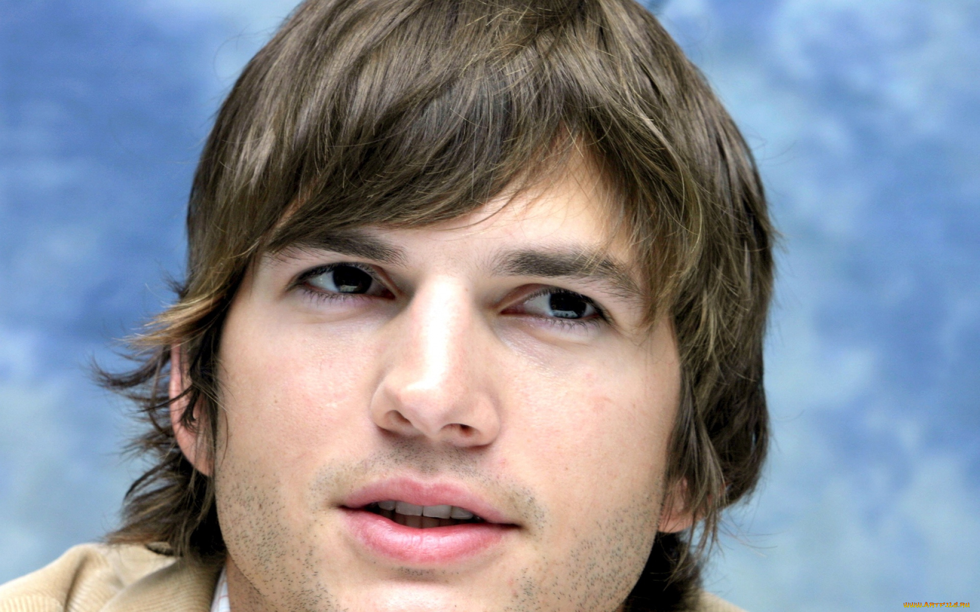 мужчины, ashton, kutcher, актер, лицо
