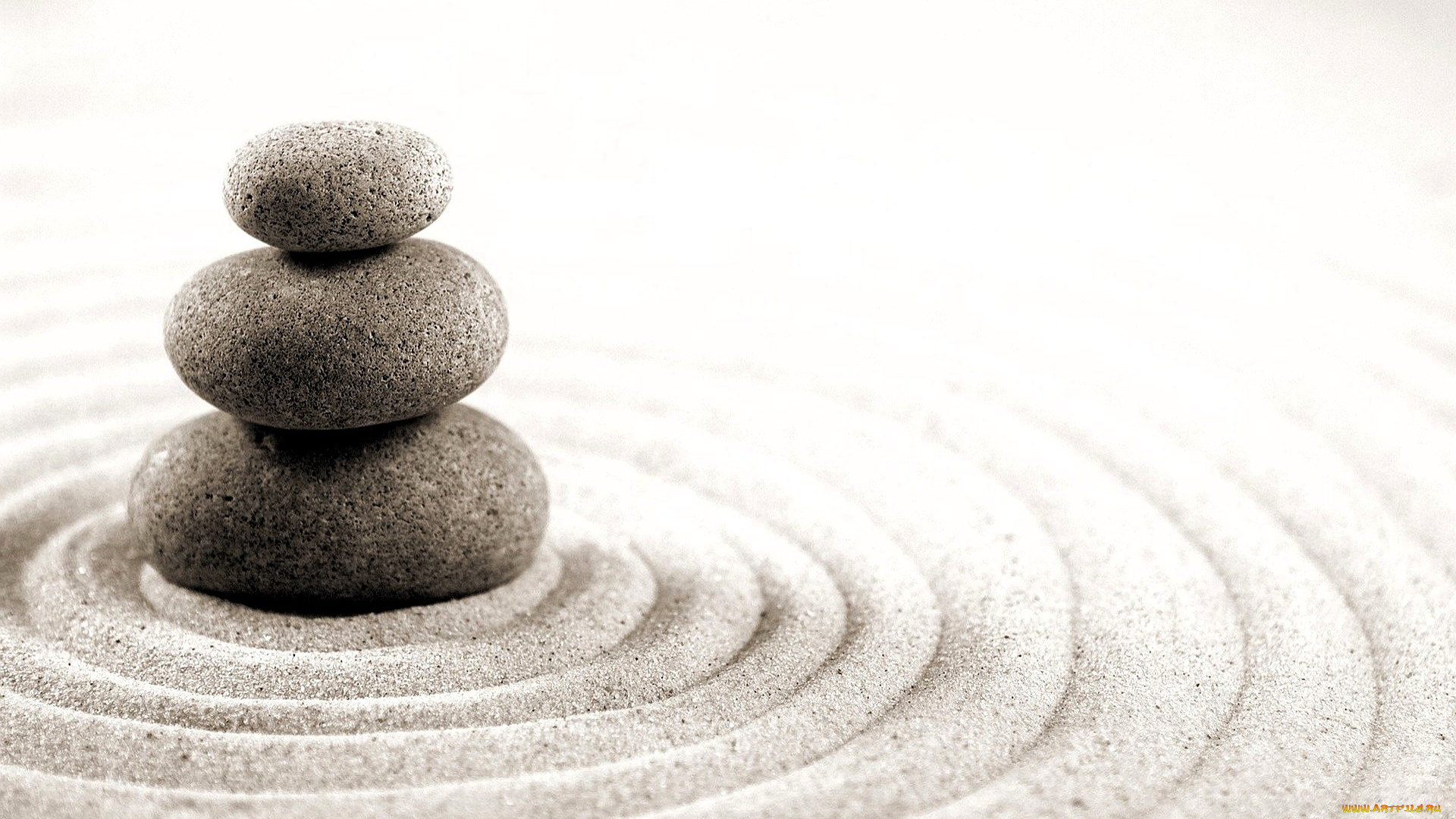 разное, ракушки, , кораллы, , декоративные, и, spa-камни, камни, песок, кольца