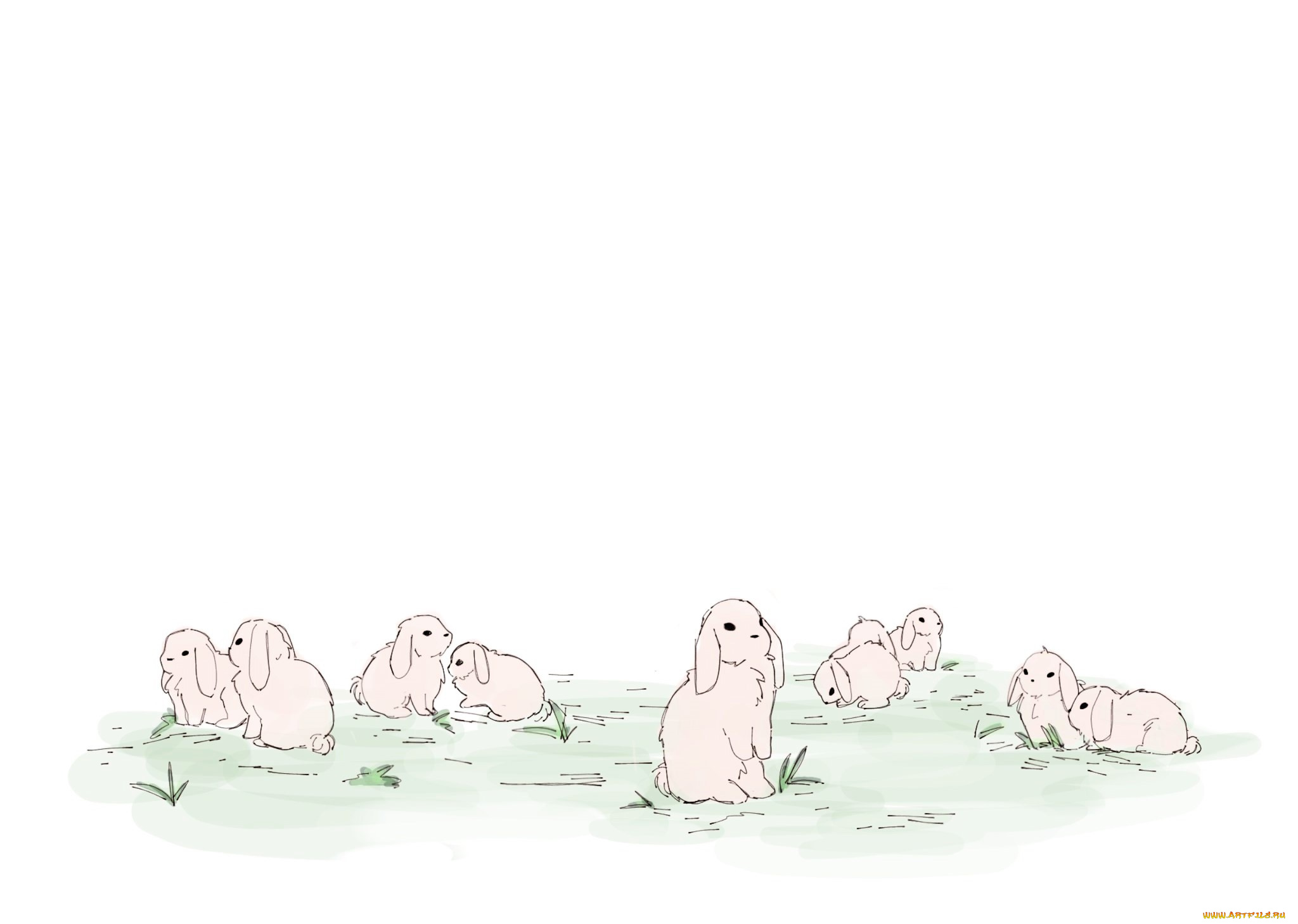 аниме, mo, dao, zu, shi, кролики, поляна