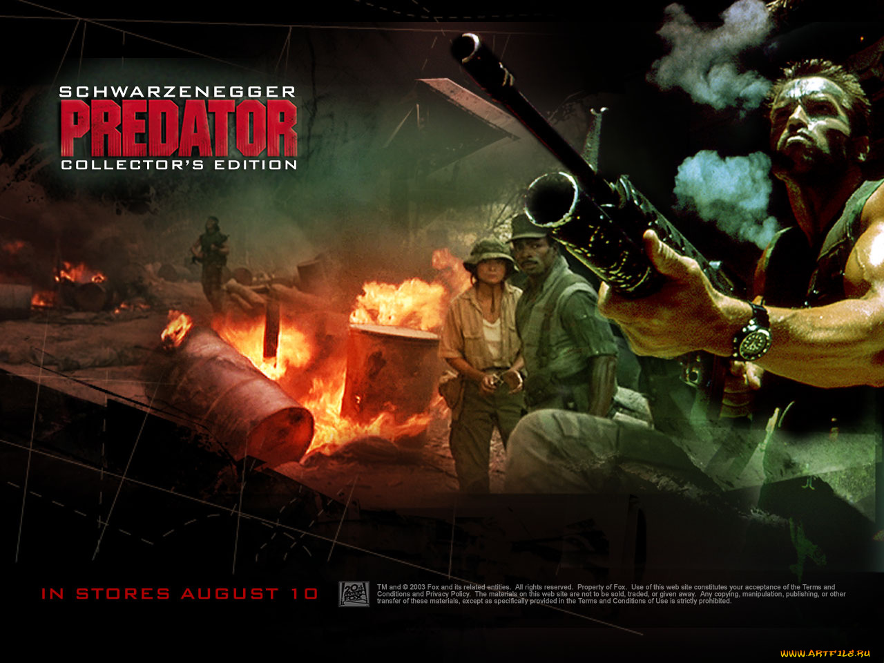 кино, фильмы, predator