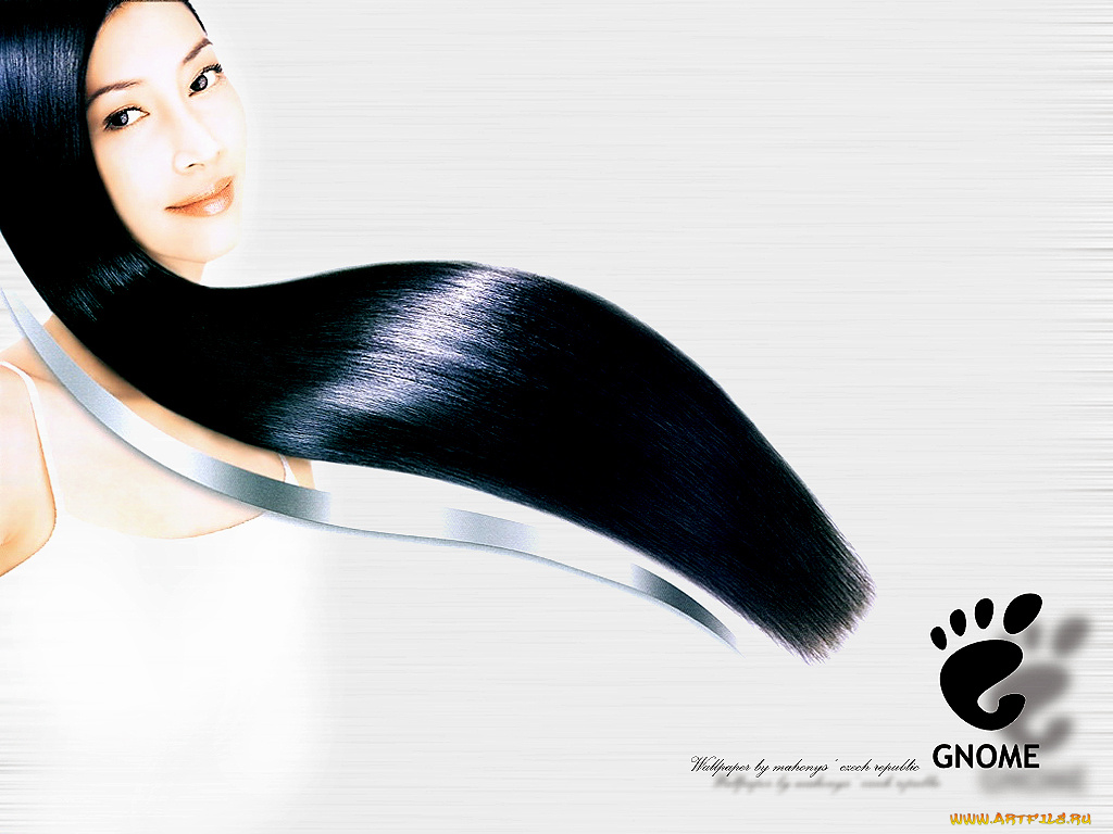 компьютеры, gnome