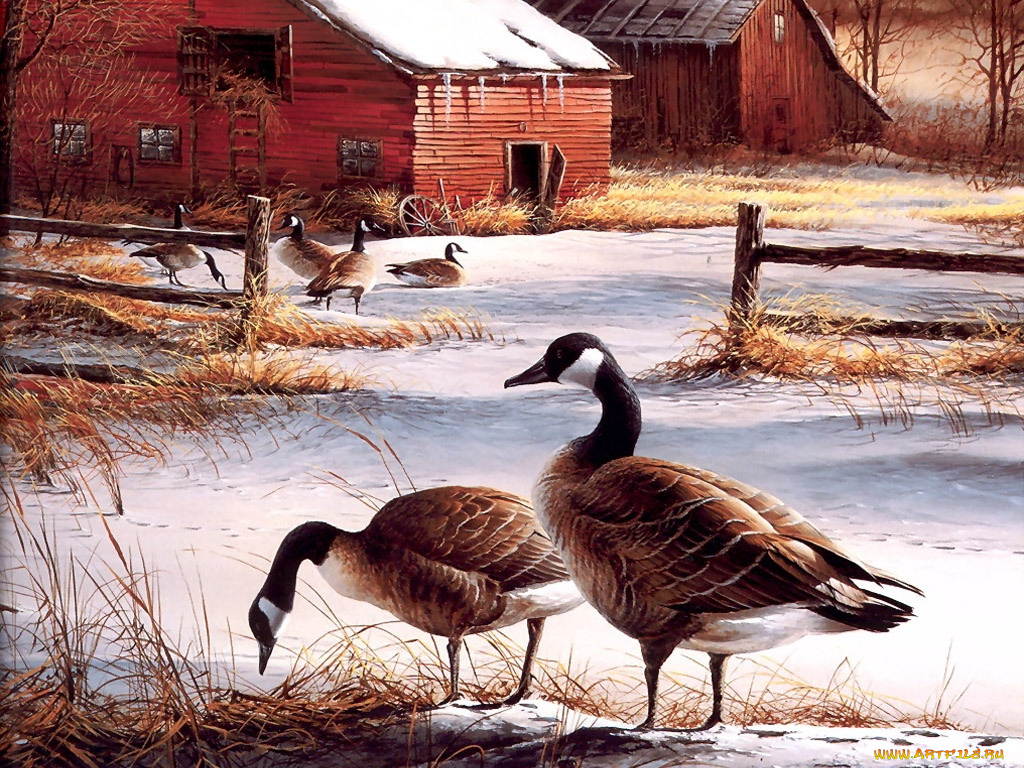 рисованные, животные