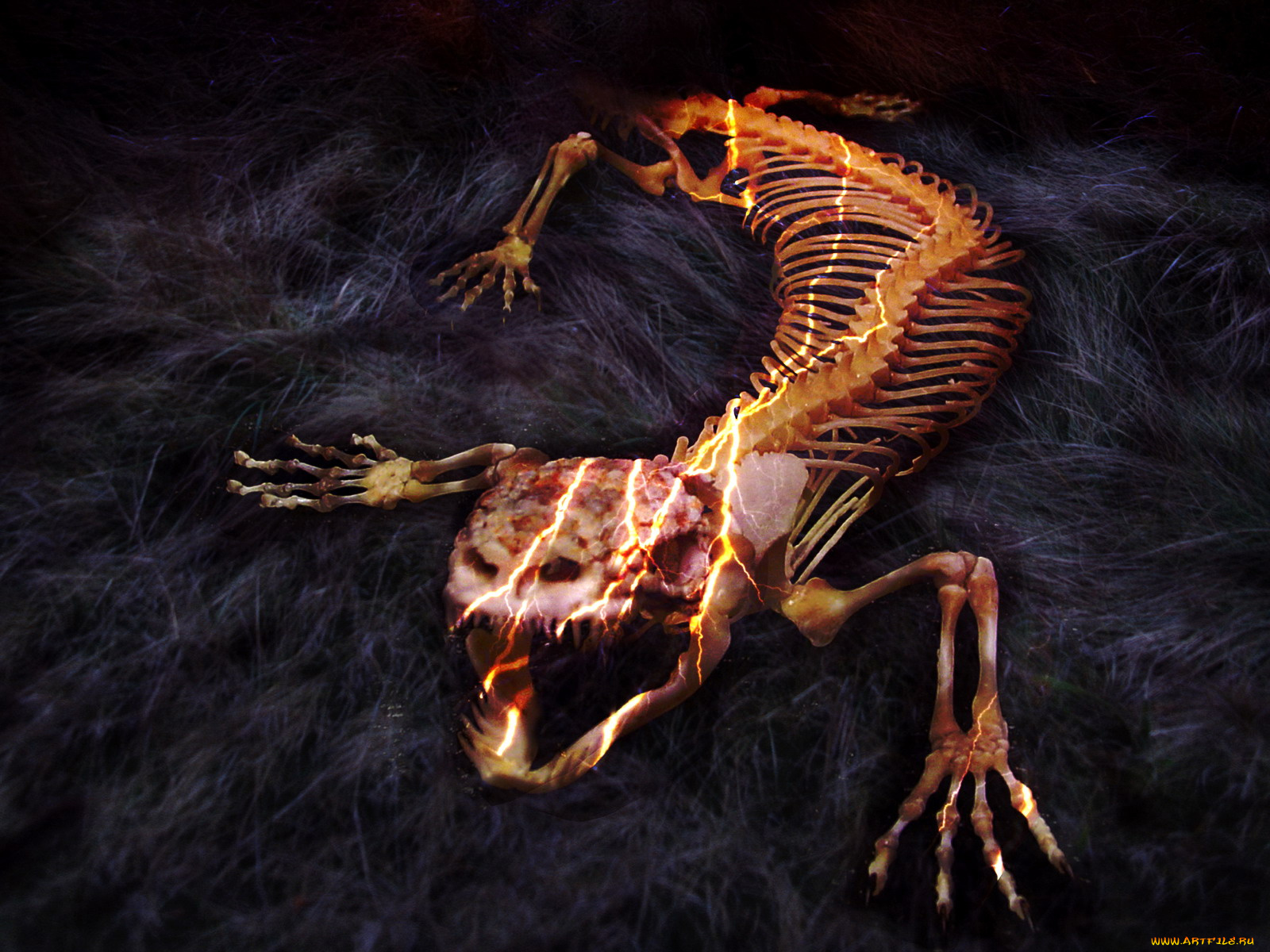 bone, eater, кино, фильмы, пожиратель