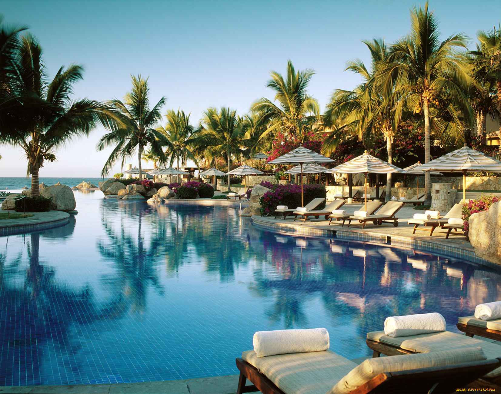 интерьер, бассейны, открытые, площадки, бассейн, пальма, los, cabos, мексика