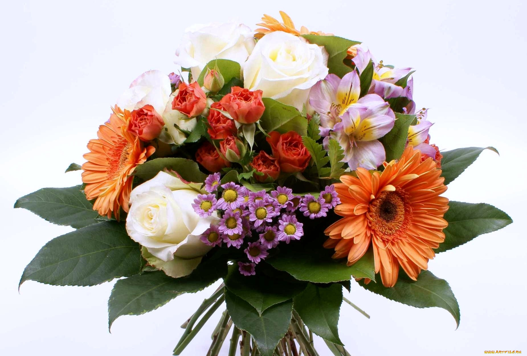 цветы, букеты, композиции, розы, герберы