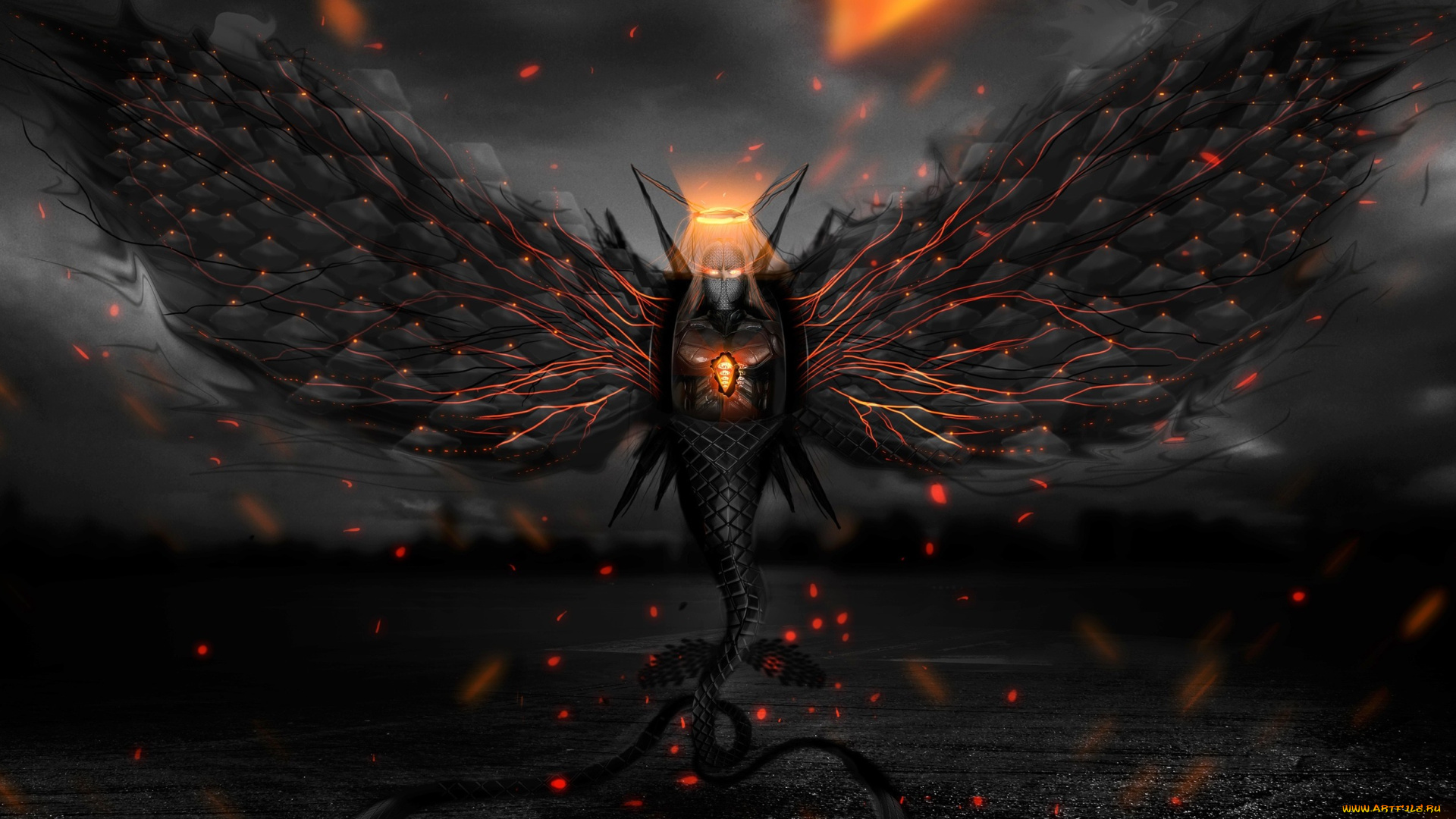 фэнтези, существа, черный, крылья, хвост