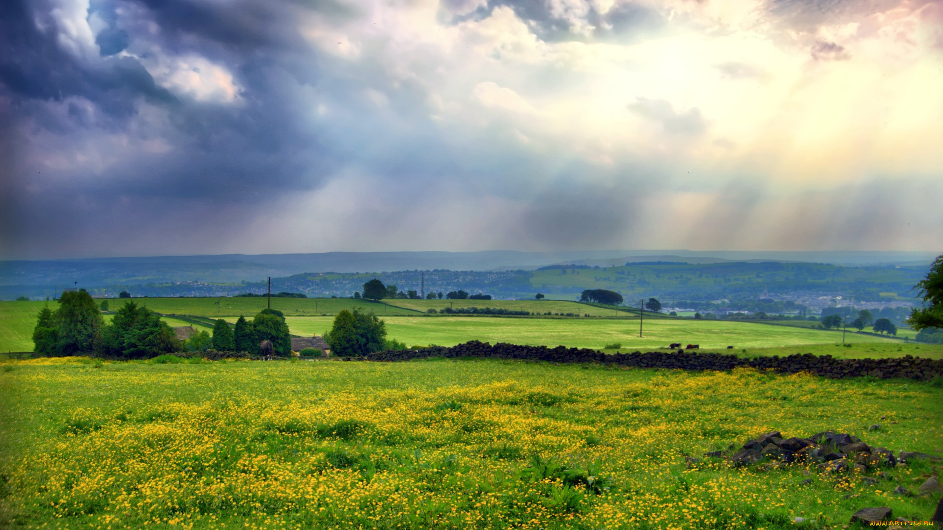 природа, луга, лучи, тучи, цветы, трава
