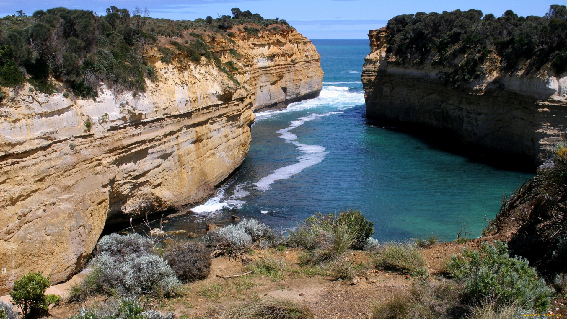 природа, побережье, утесы, море, трава