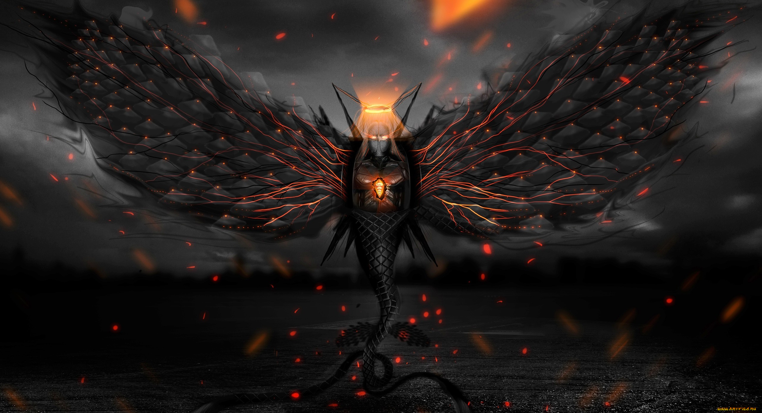 фэнтези, существа, черный, крылья, хвост