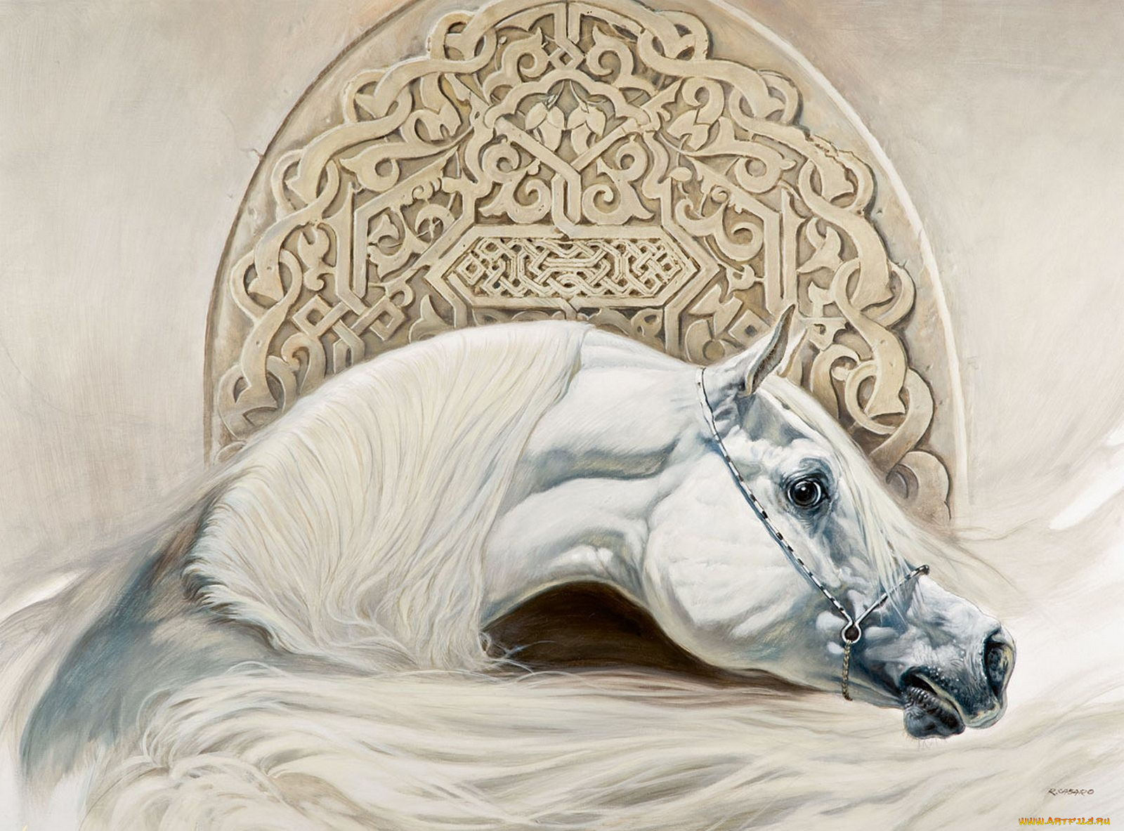 рисованные, renato, casaro, арабский, скакун