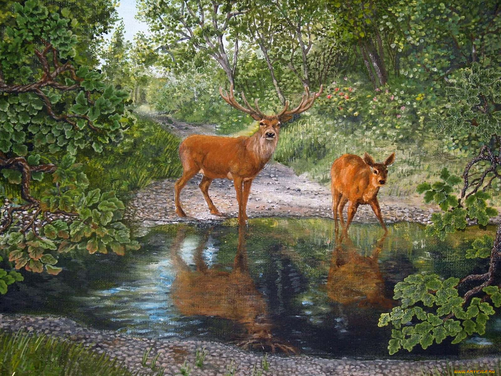 рисованные, андрей, рубаненко, олени